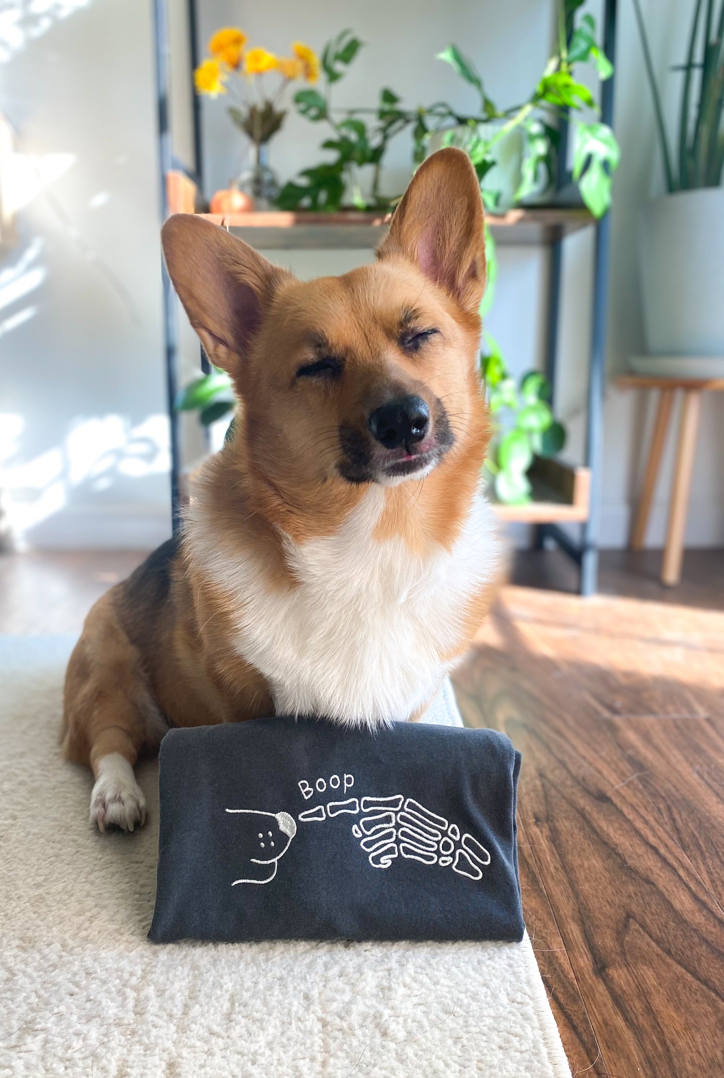 ๐๐๐๐๐๐ฆ ๐ต๐๐๐ ๐ธ๐๐๐๐๐๐๐๐๐๐ ๐๐๐