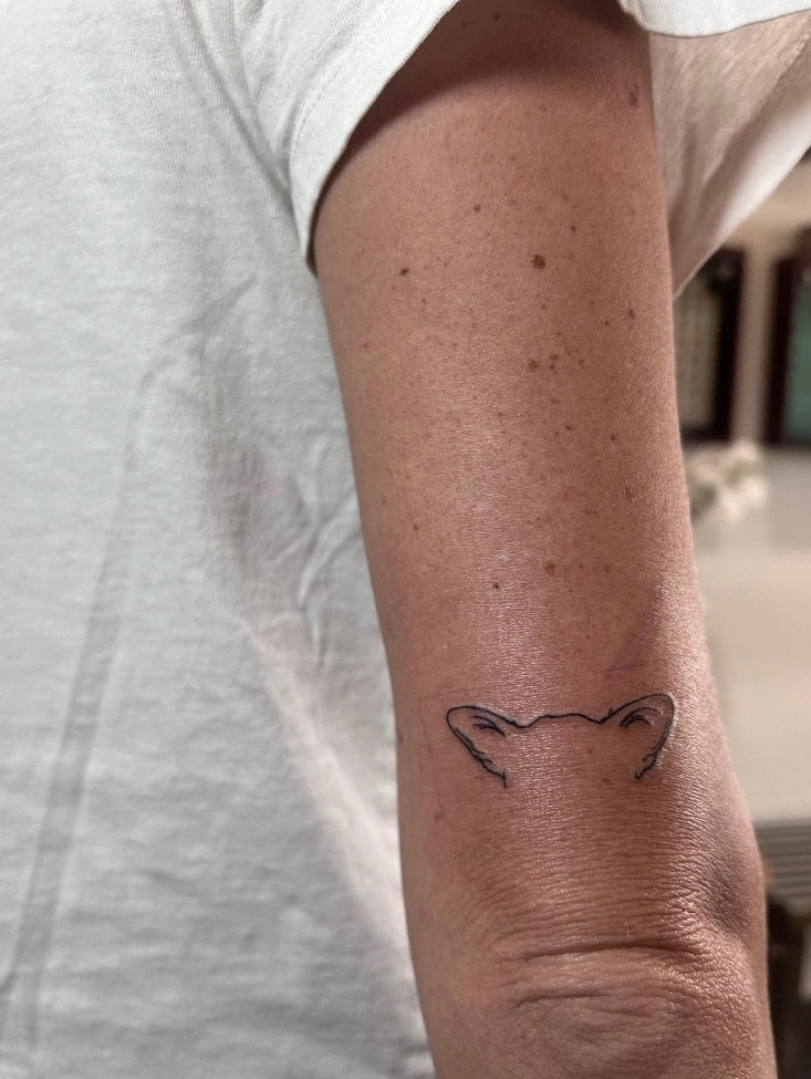 ๐ถ๐ข๐ ๐ก๐๐ ๐ท๐๐ ๐ธ๐๐ ๐ท๐๐๐๐ก๐๐ ๐น๐๐๐