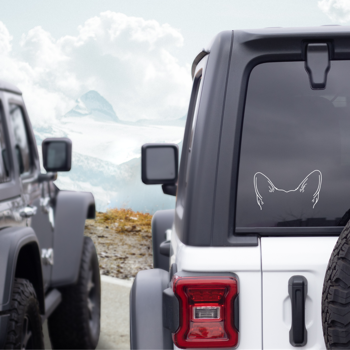 ๐ถ๐ข๐ ๐ก๐๐ ๐ท๐๐ ๐ธ๐๐ ๐ถ๐๐ ๐ท๐๐๐๐