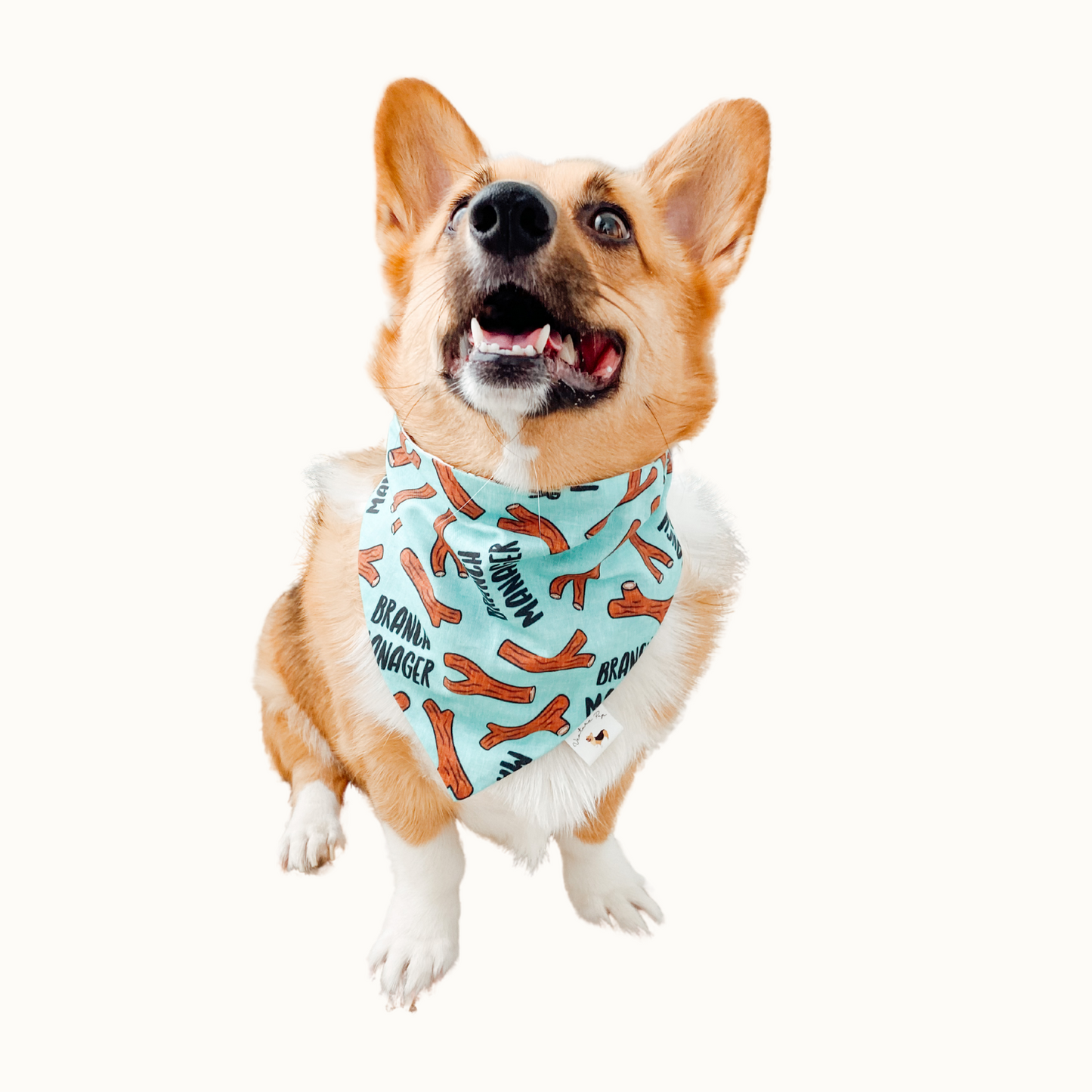 𝑂𝑓𝑓𝑖𝑐𝑒 𝐹𝑎𝑛 𝐶𝑙𝑢𝑏 𝐷𝑜𝑔 𝐵𝑎𝑛𝑑𝑎𝑛𝑎