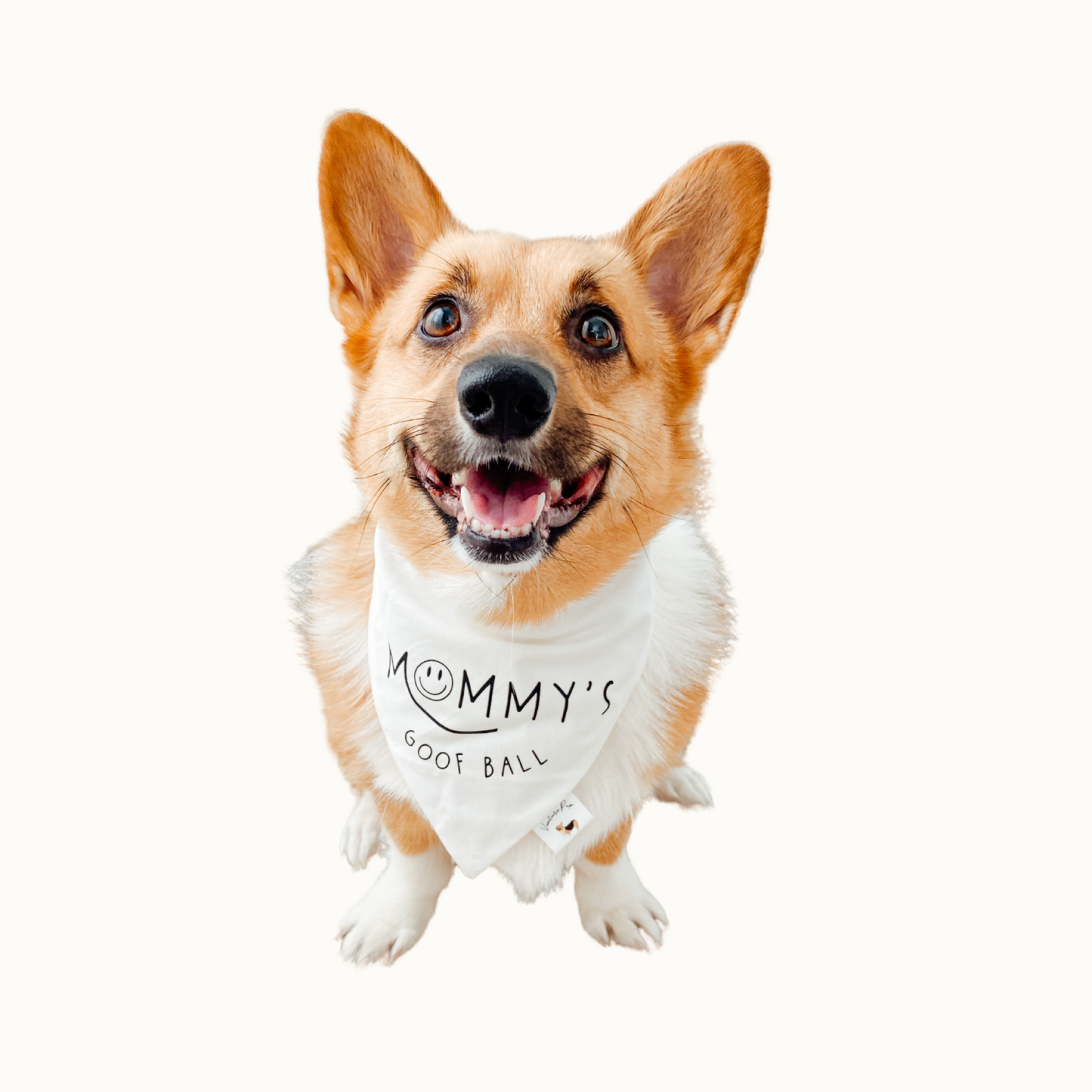 𝑀𝑜𝑚𝑚𝑦'𝑠 𝐺𝑜𝑜𝑓𝑏𝑎𝑙𝑙 𝐷𝑜𝑔 𝐵𝑎𝑛𝑑𝑎𝑛𝑎