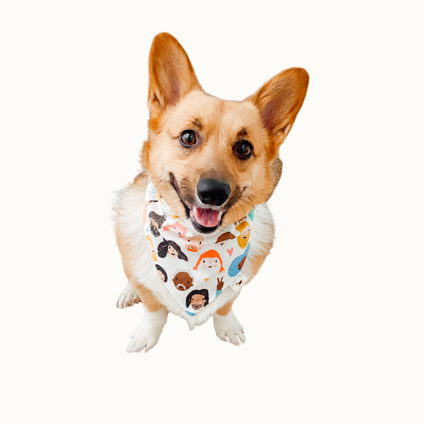 ๐ต๐ ๐พ๐๐๐ ๐ท๐๐ ๐ต๐๐๐๐๐๐