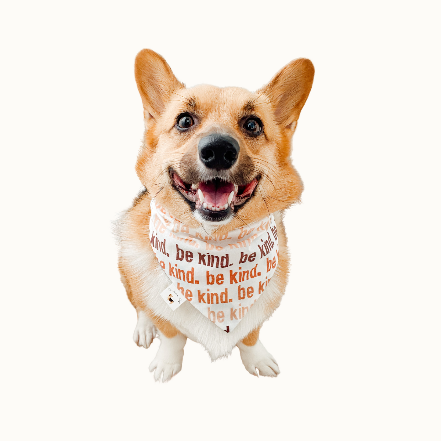 ๐ต๐ ๐พ๐๐๐ ๐ท๐๐ ๐ต๐๐๐๐๐๐