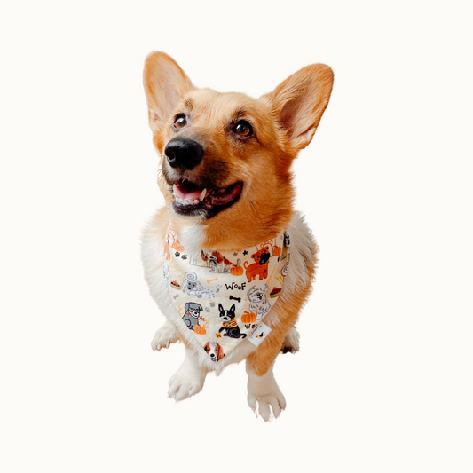 ๐น๐๐๐ ๐ท๐๐๐  ๐น๐๐๐๐๐๐ ๐ท๐๐ ๐ต๐๐๐๐๐๐