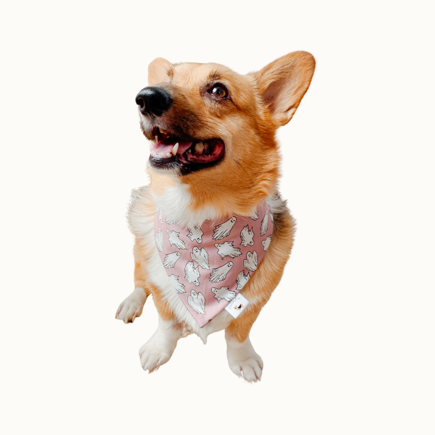 ๐บ๐๐๐ค-๐๐-๐กโ๐-๐๐๐๐ ๐ท๐๐ ๐ต๐๐๐๐๐๐