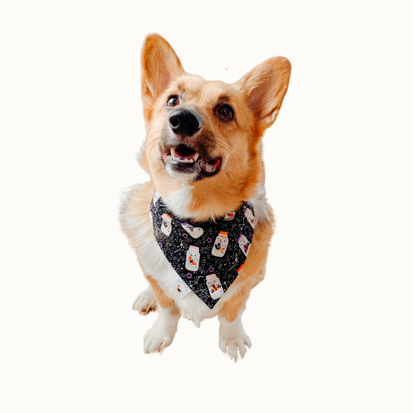 ๐บ๐๐๐ค-๐๐-๐กโ๐-๐๐๐๐ ๐ท๐๐ ๐ต๐๐๐๐๐๐