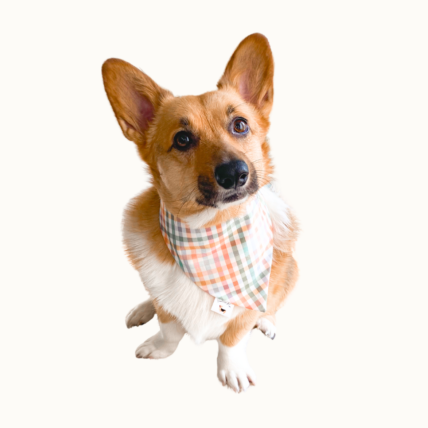 ๐๐๐๐๐ ๐๐ก๐๐๐ค๐๐๐๐๐๐๐  ๐ท๐๐ ๐ต๐๐๐๐๐๐