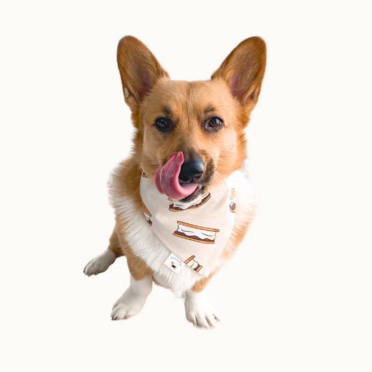 ๐ถ๐๐๐๐๐๐๐ ๐ท๐๐ ๐ต๐๐๐๐๐๐