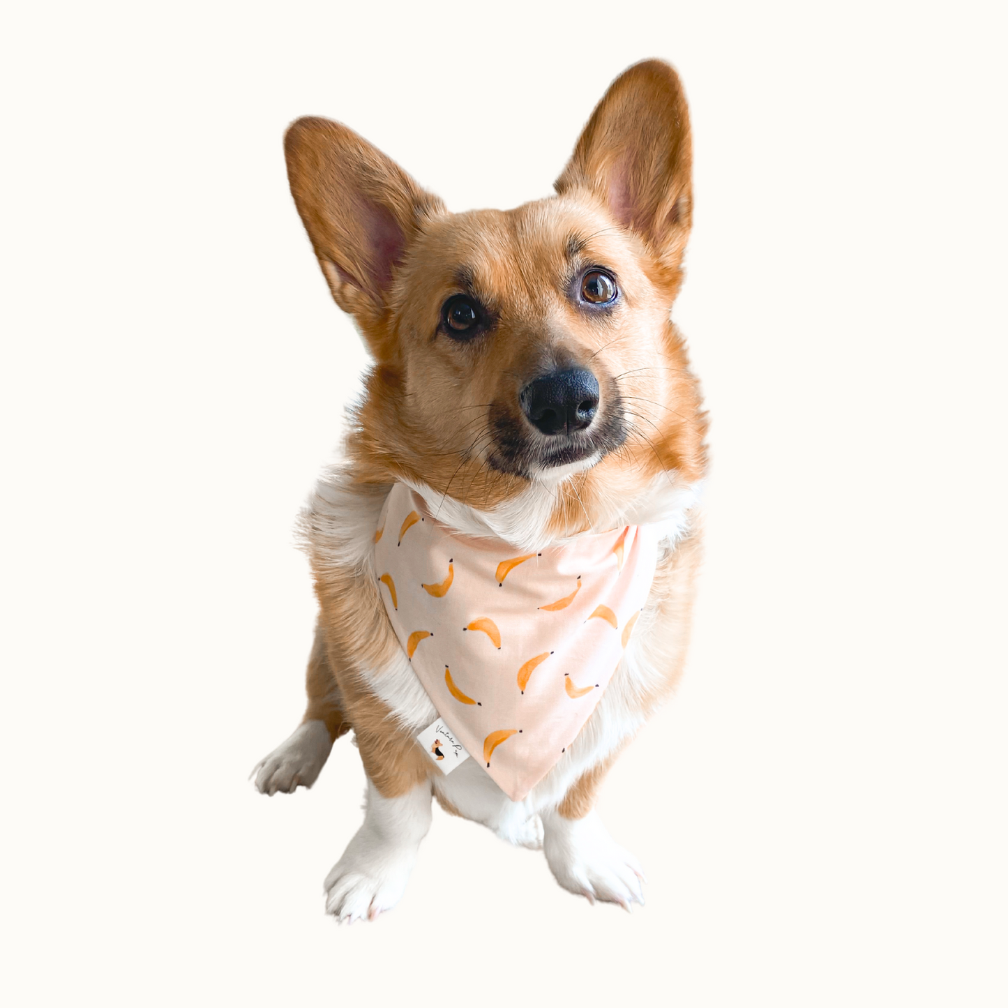 ๐๐๐๐๐๐ค ๐ต๐๐๐๐๐ ๐ท๐๐ ๐ต๐๐๐๐๐๐