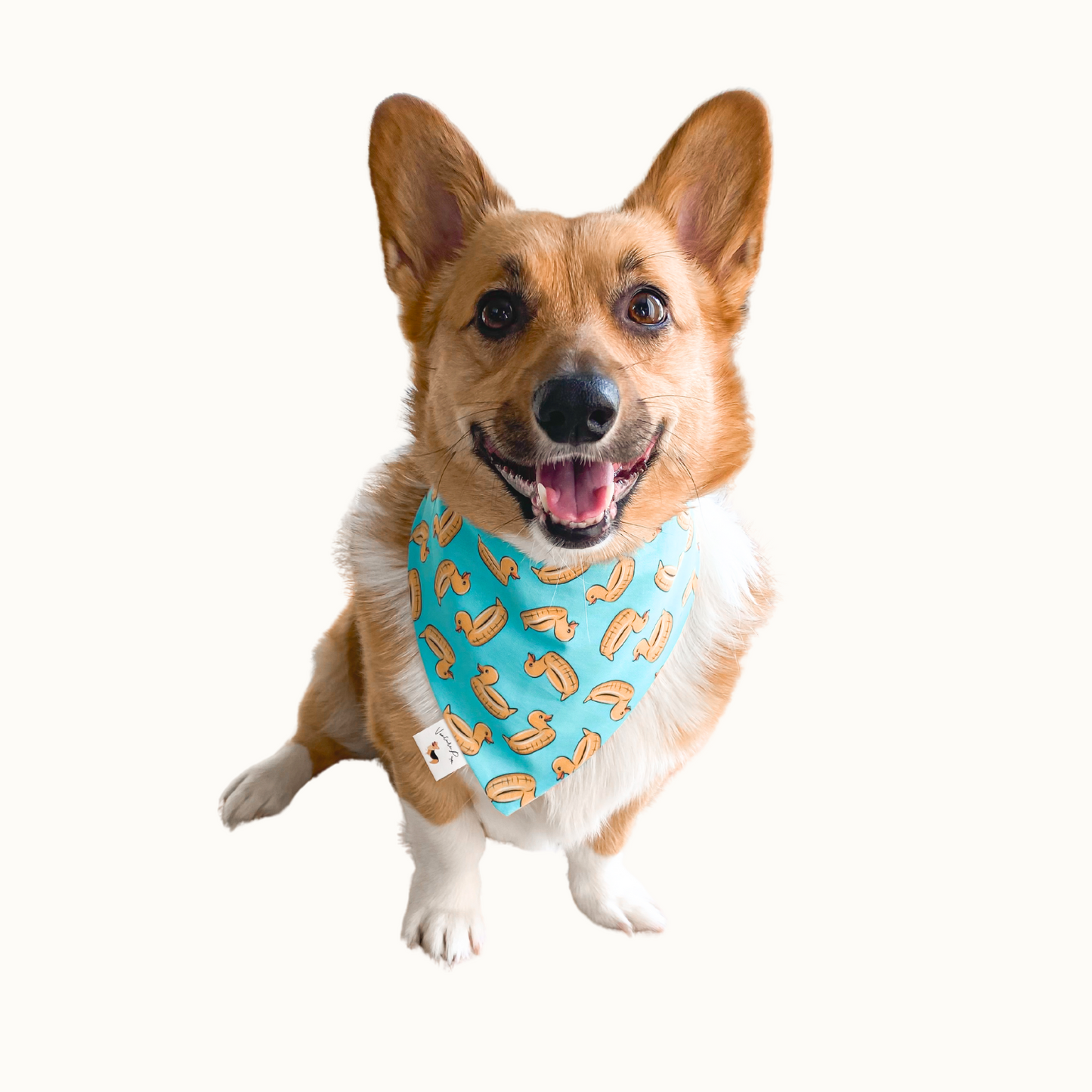 ๐ท๐ข๐๐ ๐น๐๐๐๐ก๐ฆ ๐ท๐๐ ๐ต๐๐๐๐๐๐