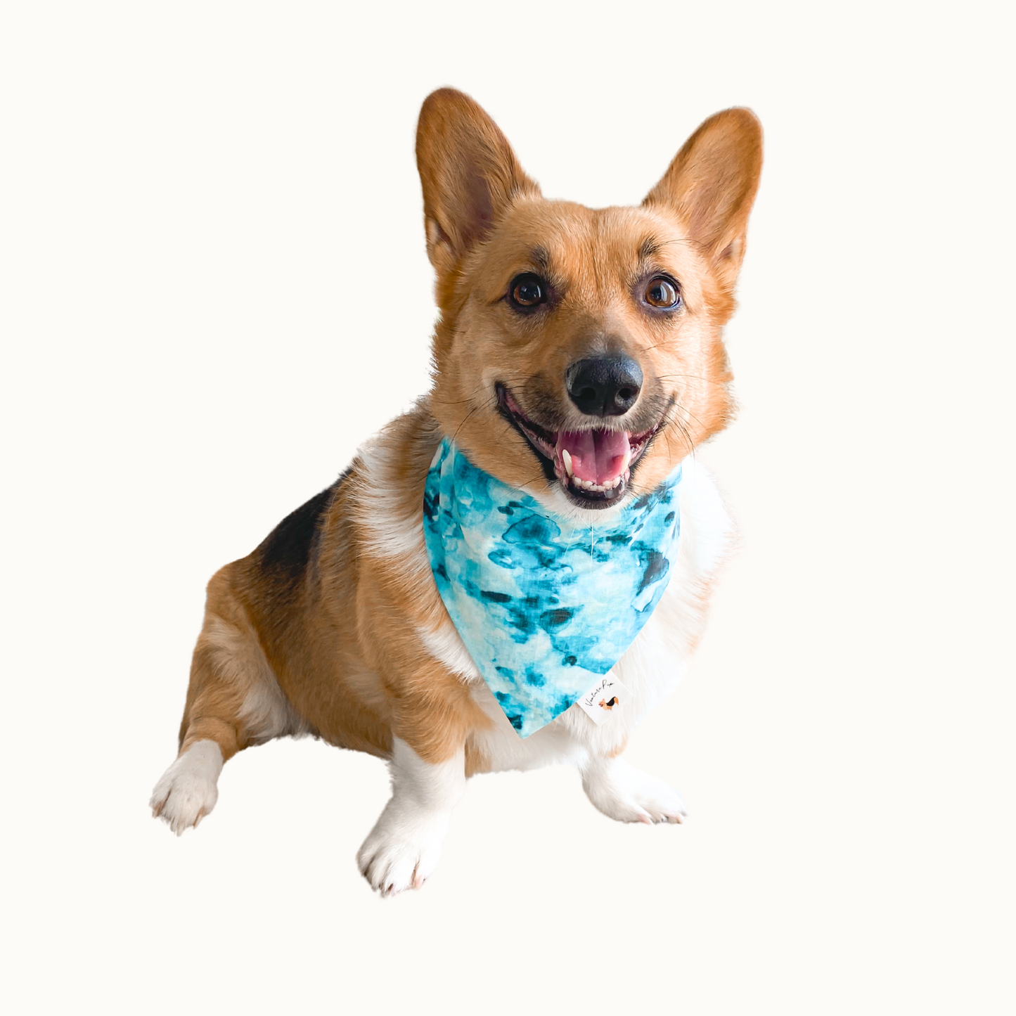 ๐๐๐ก๐๐๐๐๐๐๐ ๐โ๐๐๐๐  ๐ท๐๐ ๐ต๐๐๐๐๐๐