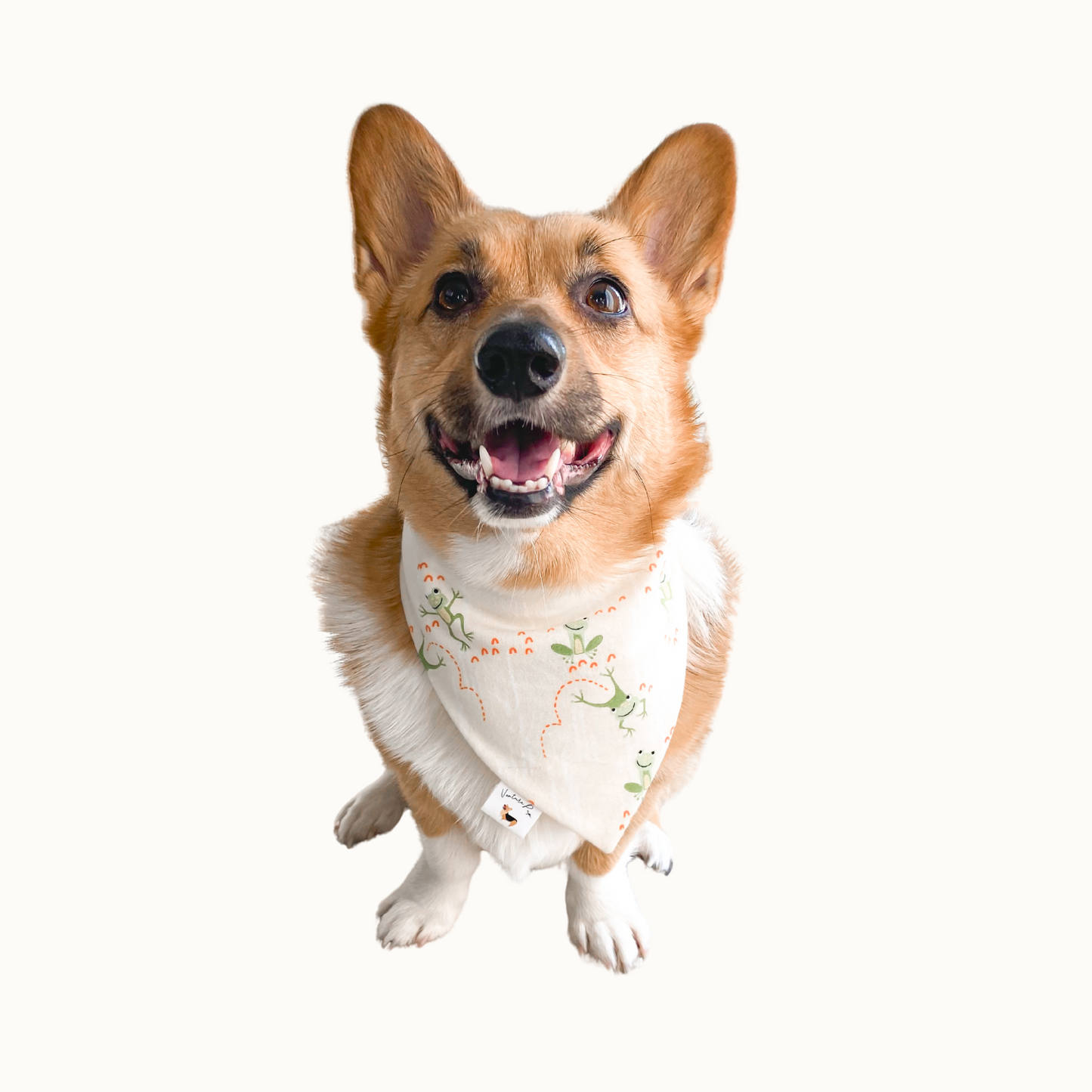 ๐ป๐๐๐๐ฆ ๐น๐๐๐๐  ๐ท๐๐ ๐ต๐๐๐๐๐๐