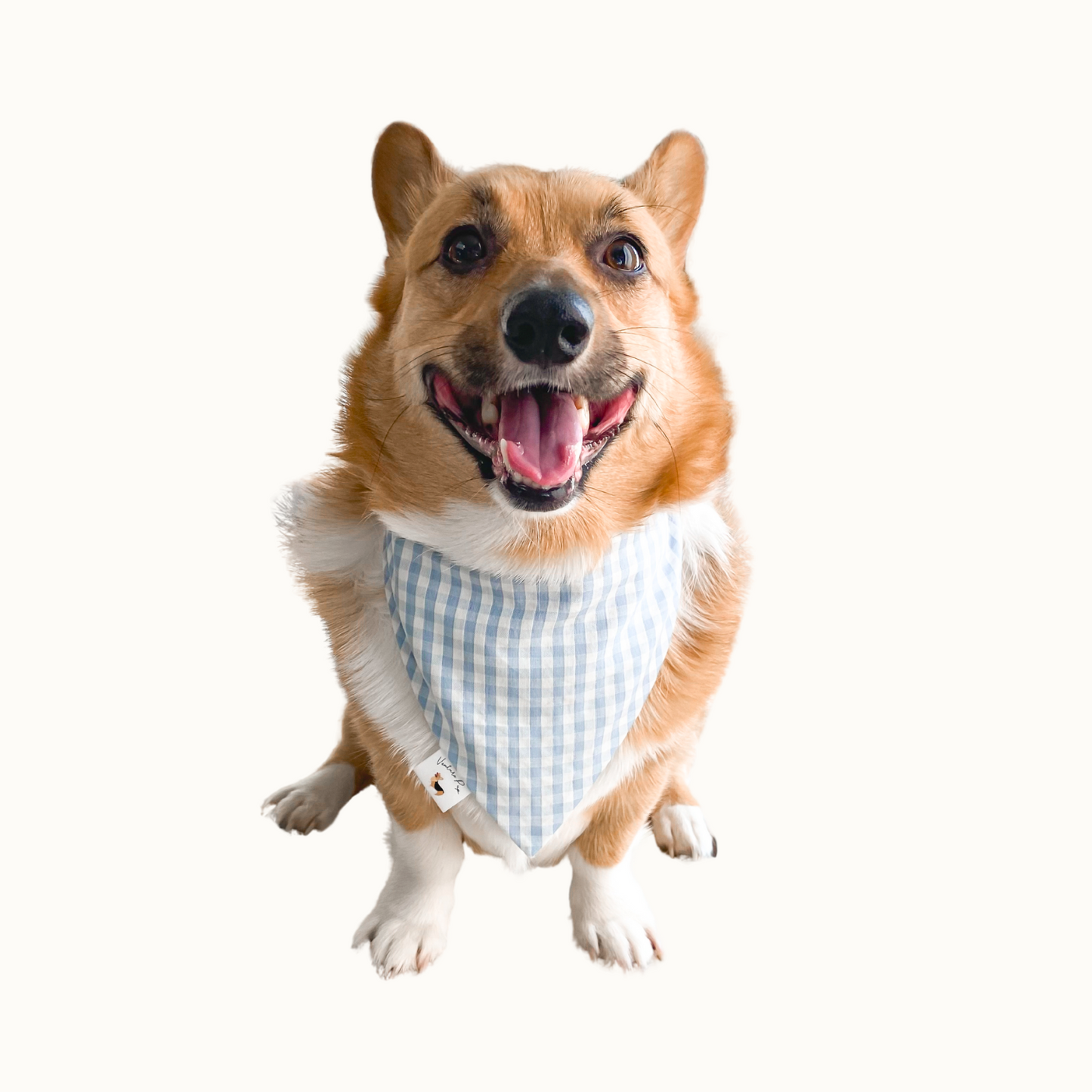 ๐๐๐๐๐๐ ๐ต๐๐๐๐๐๐ก ๐ท๐๐ ๐ต๐๐๐๐๐๐