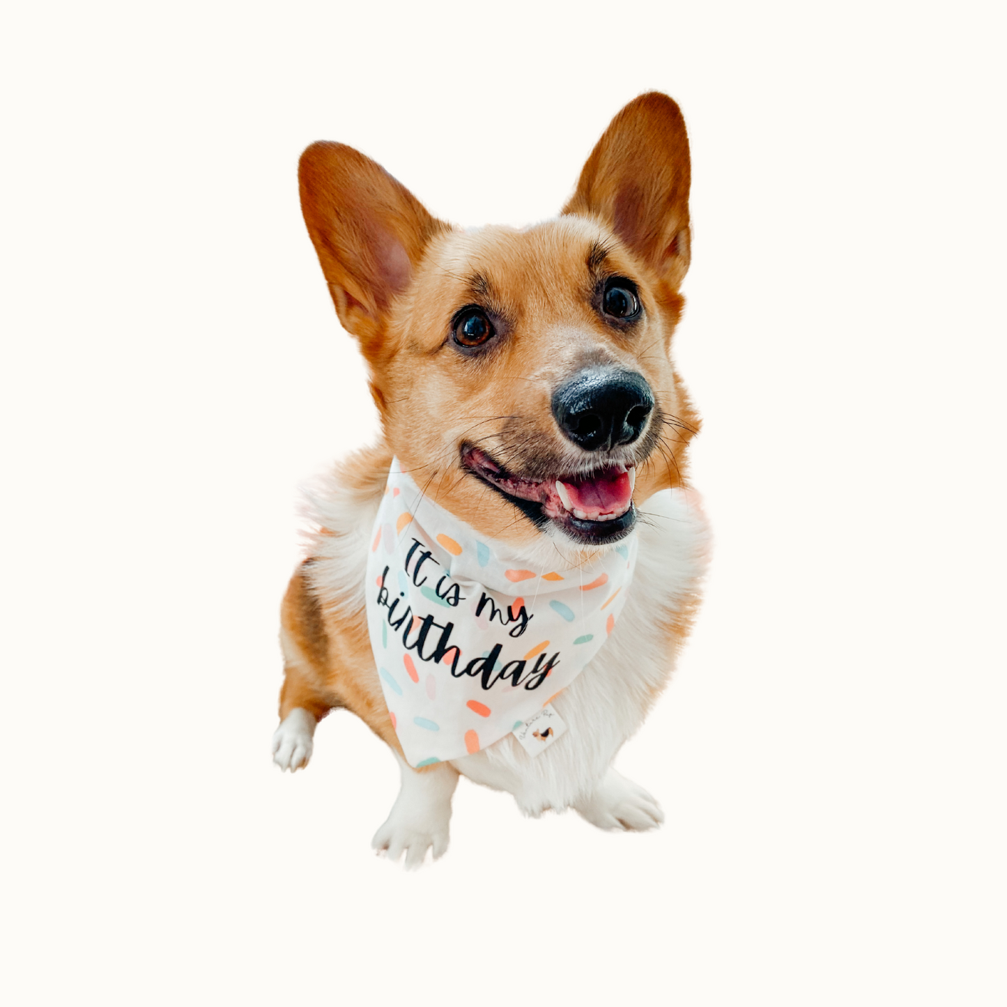 ๐๐ข๐ ๐๐๐๐ก๐ฆ ๐ท๐๐ ๐ต๐๐๐๐๐๐