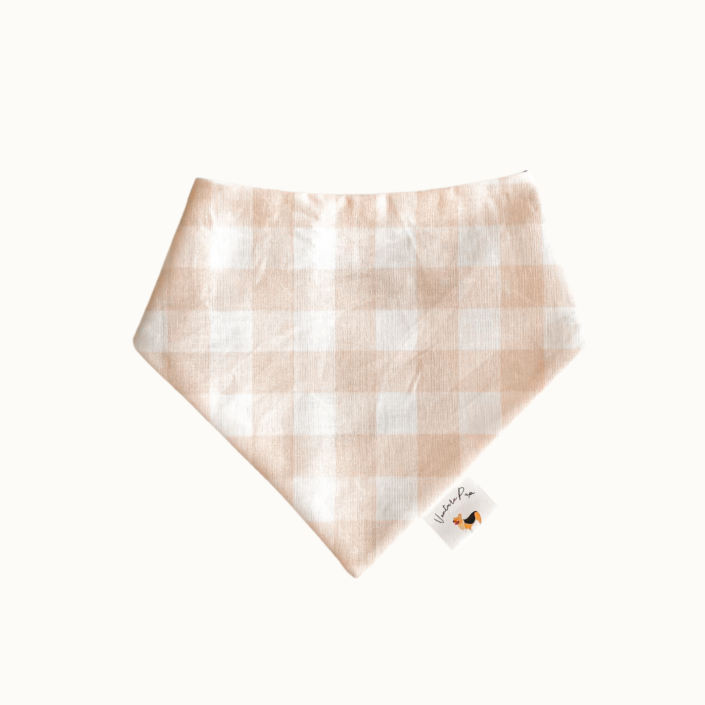 𝐶𝑎𝑚𝑝𝑓𝑖𝑟𝑒 𝐷𝑜𝑔 𝐵𝑎𝑛𝑑𝑎𝑛𝑎