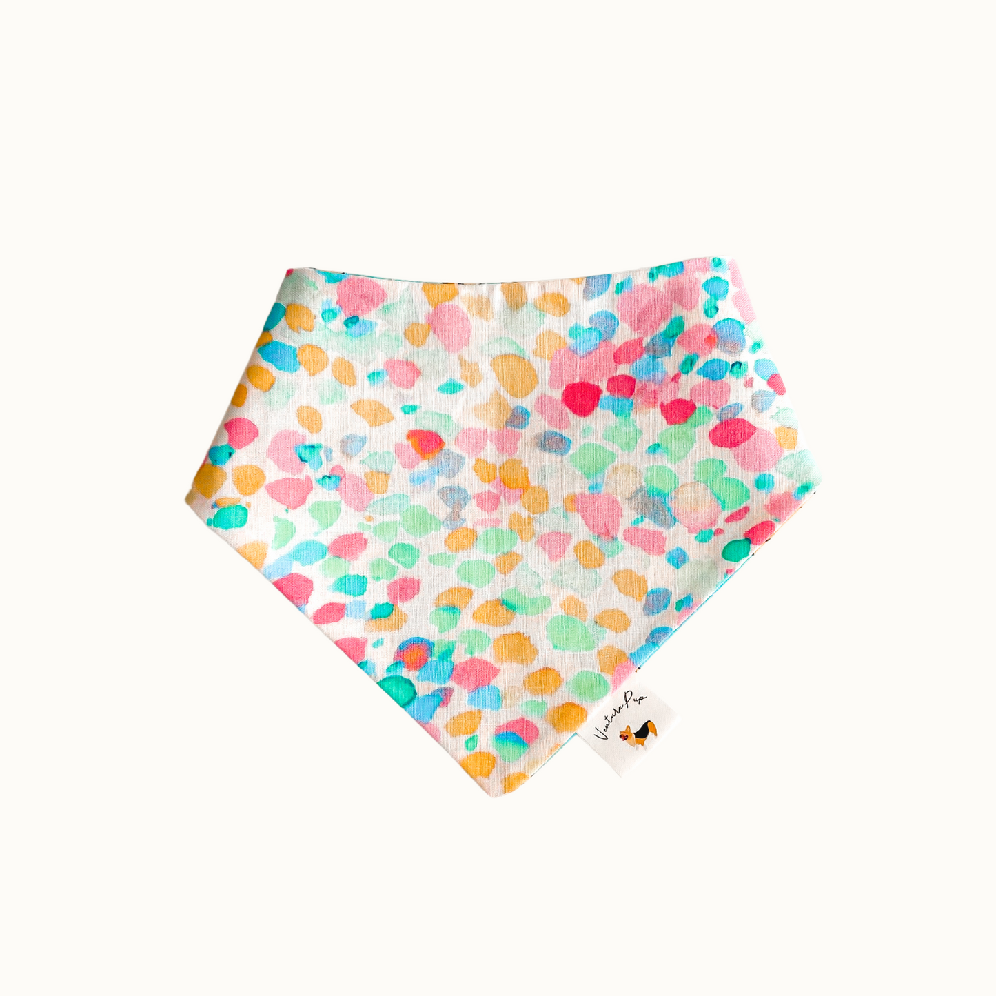 ๐ท๐ข๐๐ ๐น๐๐๐๐ก๐ฆ ๐ท๐๐ ๐ต๐๐๐๐๐๐