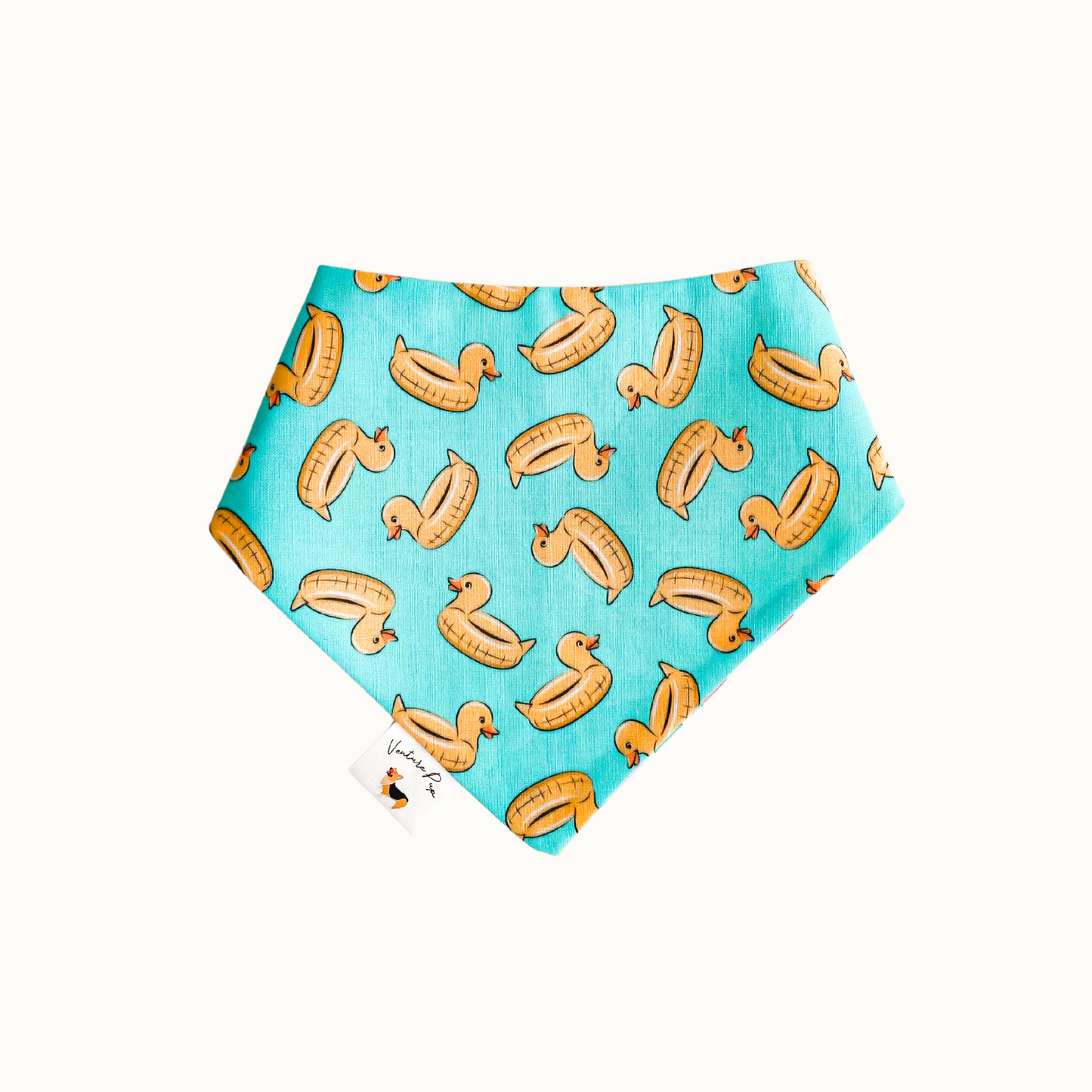 ๐ท๐ข๐๐ ๐น๐๐๐๐ก๐ฆ ๐ท๐๐ ๐ต๐๐๐๐๐๐