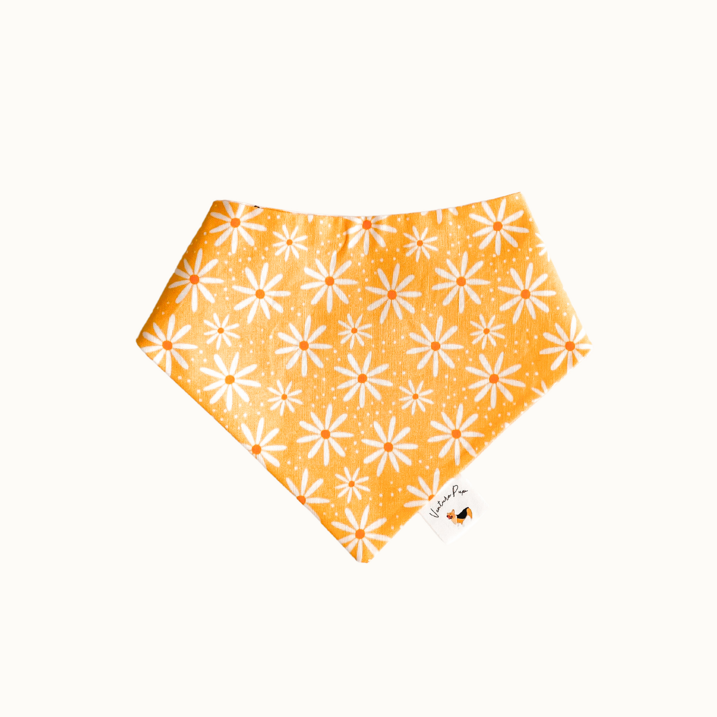 ๐๐๐๐๐๐ค ๐ต๐๐๐๐๐ ๐ท๐๐ ๐ต๐๐๐๐๐๐