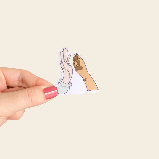 ๐๐๐ค ๐น๐๐ฃ๐ ๐๐ก๐๐๐๐๐