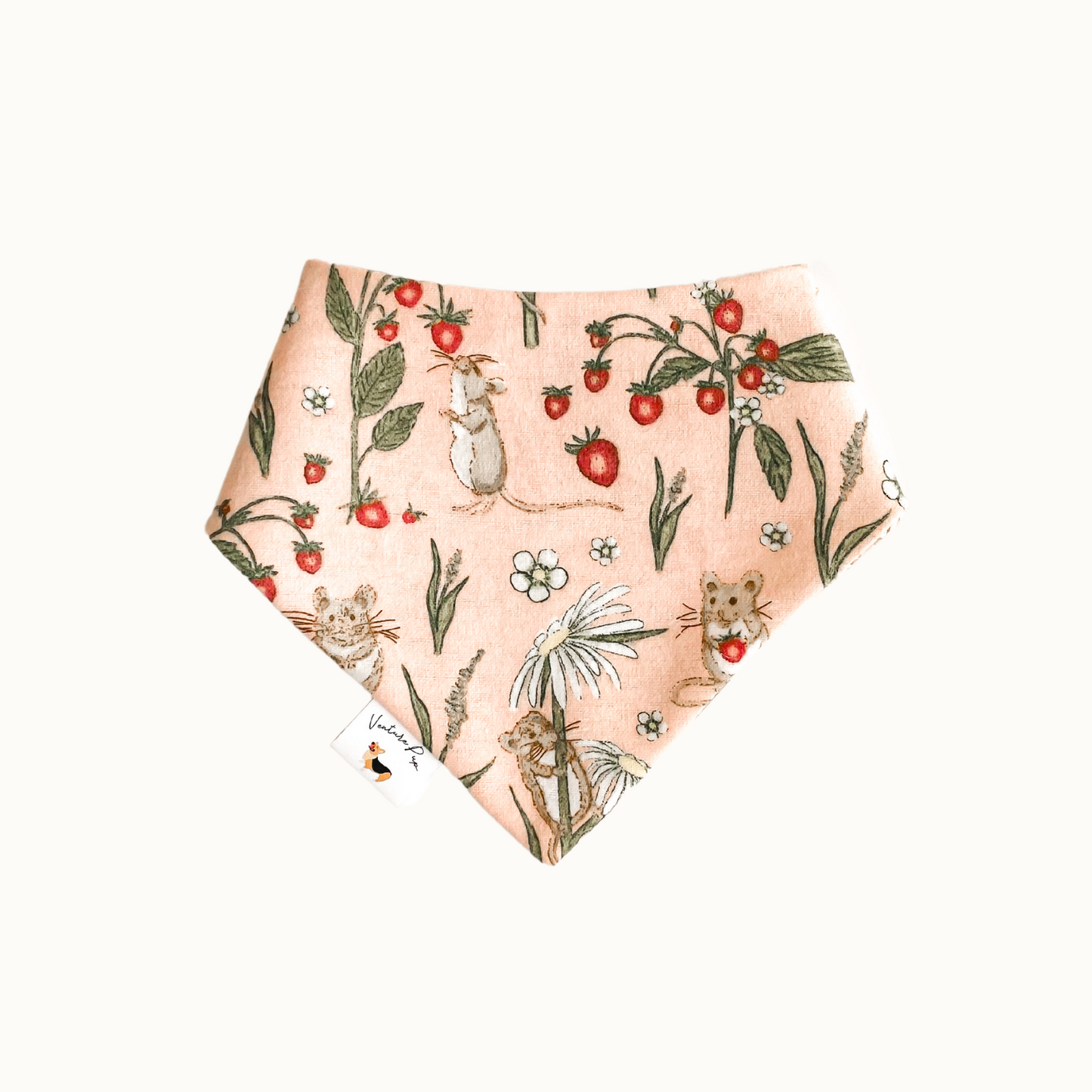 𝑆𝑡𝑟𝑎𝑤𝑏𝑒𝑟𝑟𝑦 𝑀𝑖𝑐𝑒 𝐷𝑜𝑔 𝐵𝑎𝑛𝑑𝑎𝑛𝑎