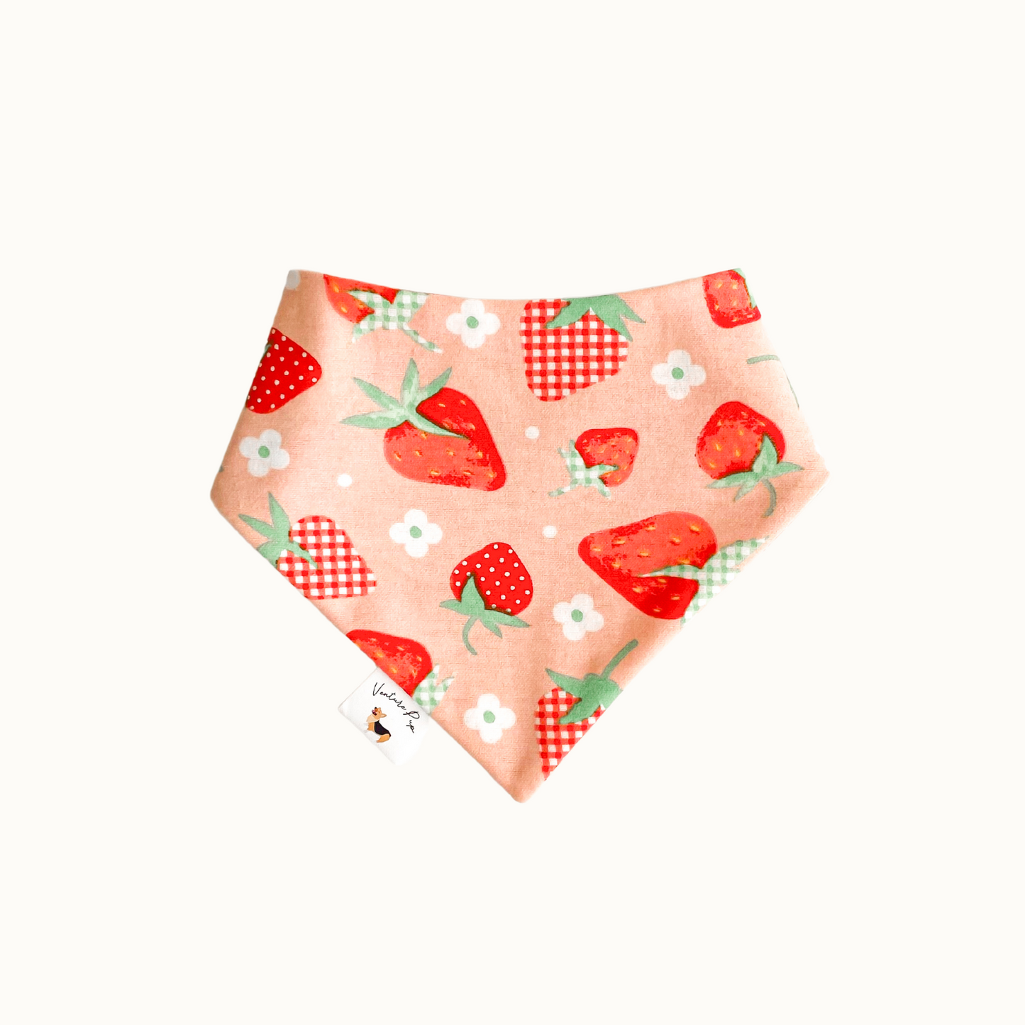 𝐶𝑜𝑙𝑜𝑟𝑓𝑢𝑙 𝑆𝑡𝑟𝑎𝑤𝑏𝑒𝑟𝑟𝑖𝑒𝑠 𝐷𝑜𝑔 𝐵𝑎𝑛𝑑𝑎𝑛𝑎