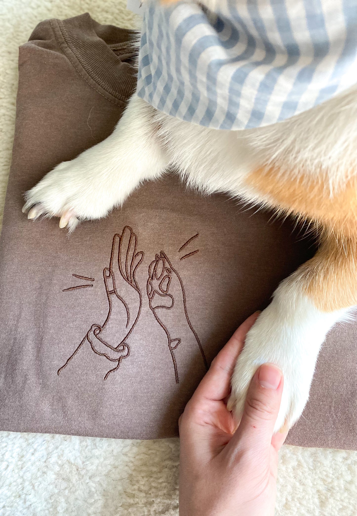 ๐๐๐ค ๐น๐๐ฃ๐ ๐ธ๐๐๐๐๐๐๐๐๐๐ ๐๐๐