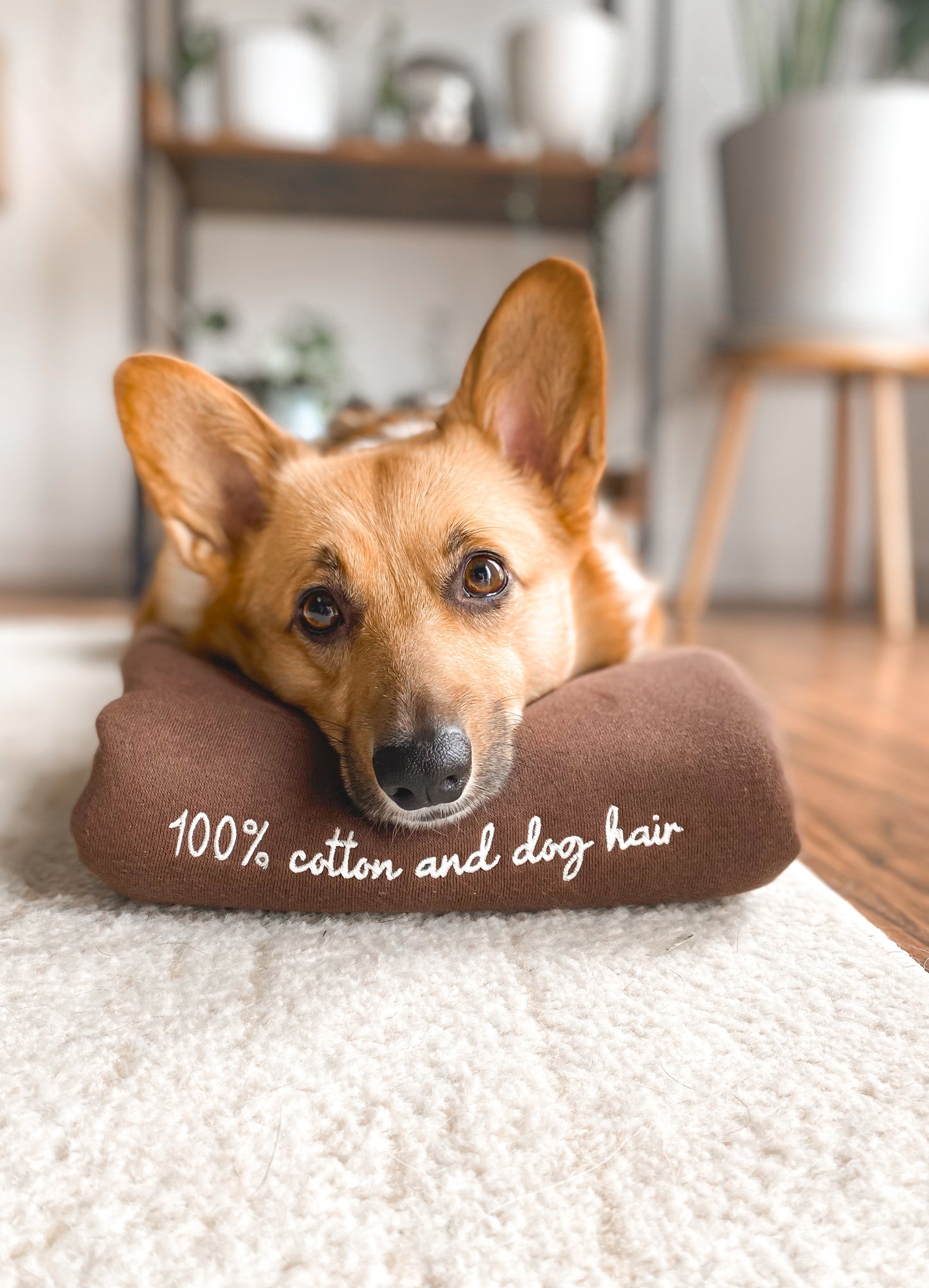 100% 𝐶𝑜𝑡𝑡𝑜𝑛 𝑎𝑛𝑑 𝐷𝑜𝑔 𝐻𝑎𝑖𝑟 𝐸𝑚𝑏𝑟𝑜𝑖𝑑𝑒𝑟𝑒𝑑 𝐶𝑟𝑒𝑤