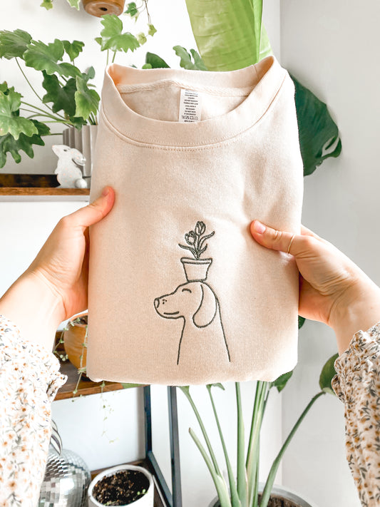 𝐷𝑜𝑔 𝑤𝑖𝑡ℎ 𝑃𝑙𝑎𝑛𝑡 𝐸𝑚𝑏𝑟𝑜𝑖𝑑𝑒𝑟𝑒𝑑 𝐶𝑟𝑒𝑤