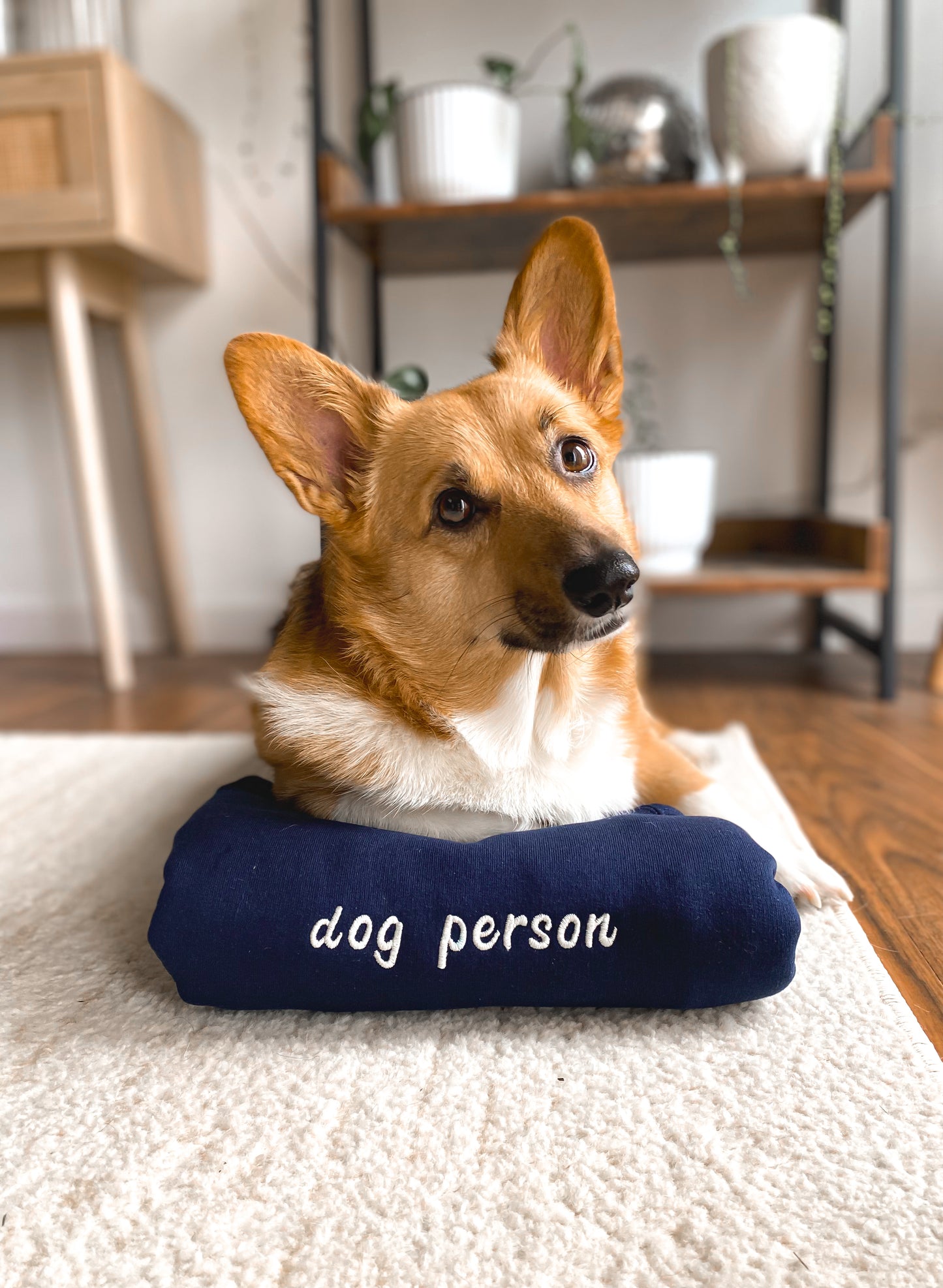 𝐷𝑜𝑔 𝑃𝑒𝑟𝑠𝑜𝑛 𝐸𝑚𝑏𝑟𝑜𝑖𝑑𝑒𝑟𝑒𝑑 𝐶𝑟𝑒𝑤