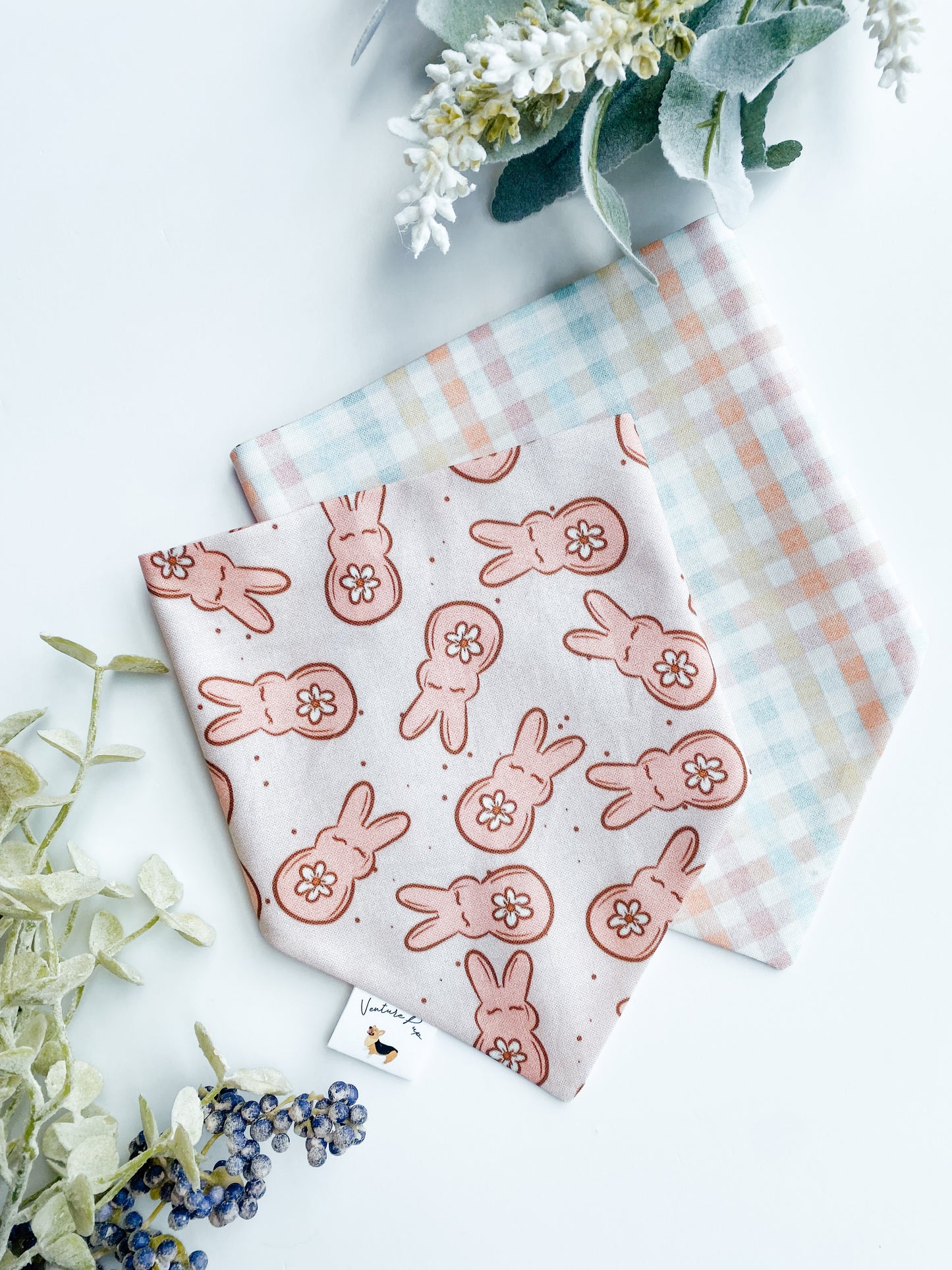 𝑃𝑖𝑛𝑘 𝑃𝑒𝑒𝑝𝑠 𝐷𝑜𝑔 𝐵𝑎𝑛𝑑𝑎𝑛𝑎