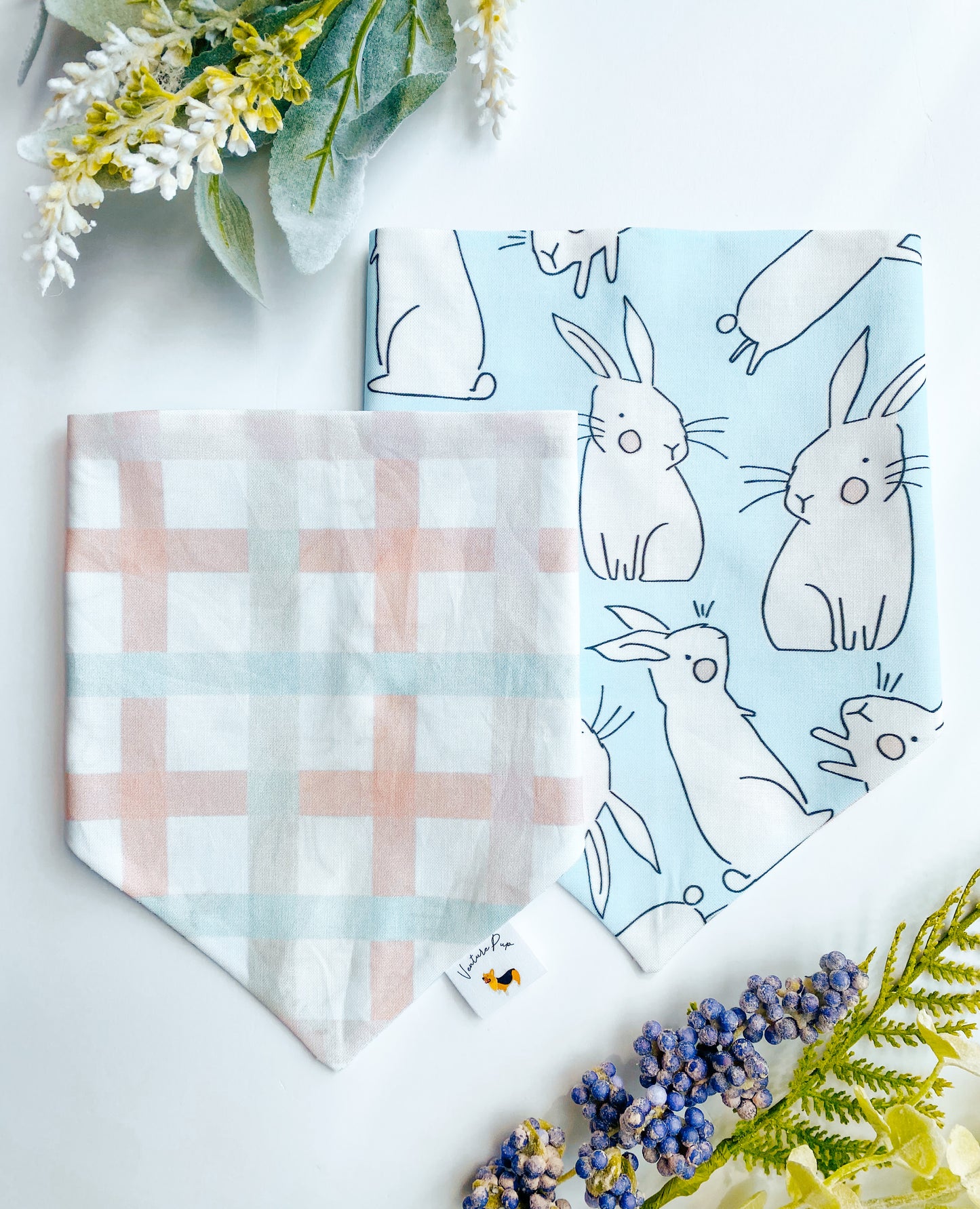 ๐ต๐๐ข๐ ๐ต๐ข๐๐๐ฆ ๐ท๐๐ ๐ต๐๐๐๐๐๐