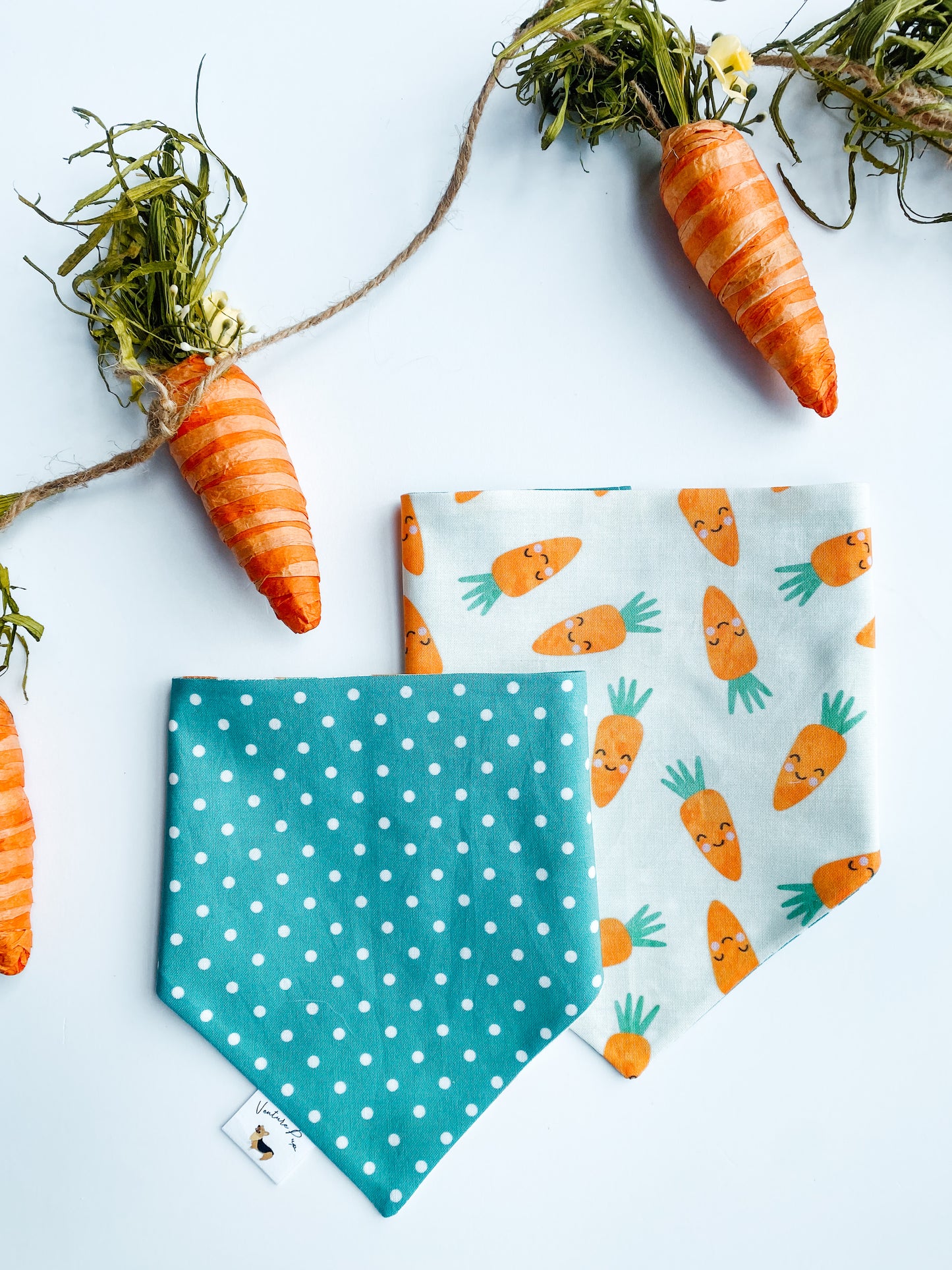 𝐻𝑎𝑝𝑝𝑦 𝐶𝑎𝑟𝑟𝑜𝑡𝑠 𝐷𝑜𝑔 𝐵𝑎𝑛𝑑𝑎𝑛𝑎