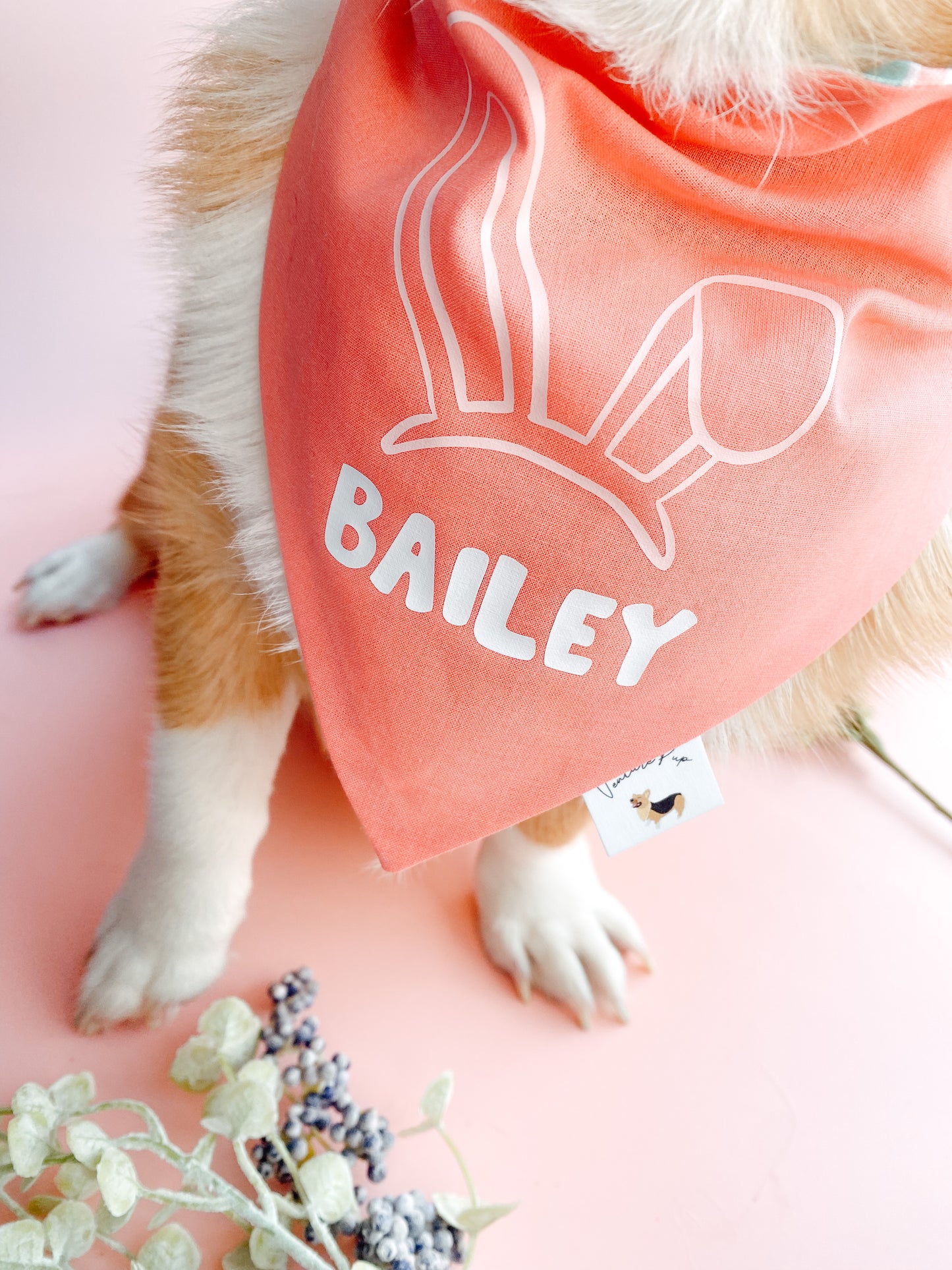 𝐶𝑢𝑡𝑜𝑚 𝐵𝑢𝑛𝑛𝑦 𝐸𝑎𝑟𝑠 𝐷𝑜𝑔 𝐵𝑎𝑛𝑑𝑎𝑛𝑎