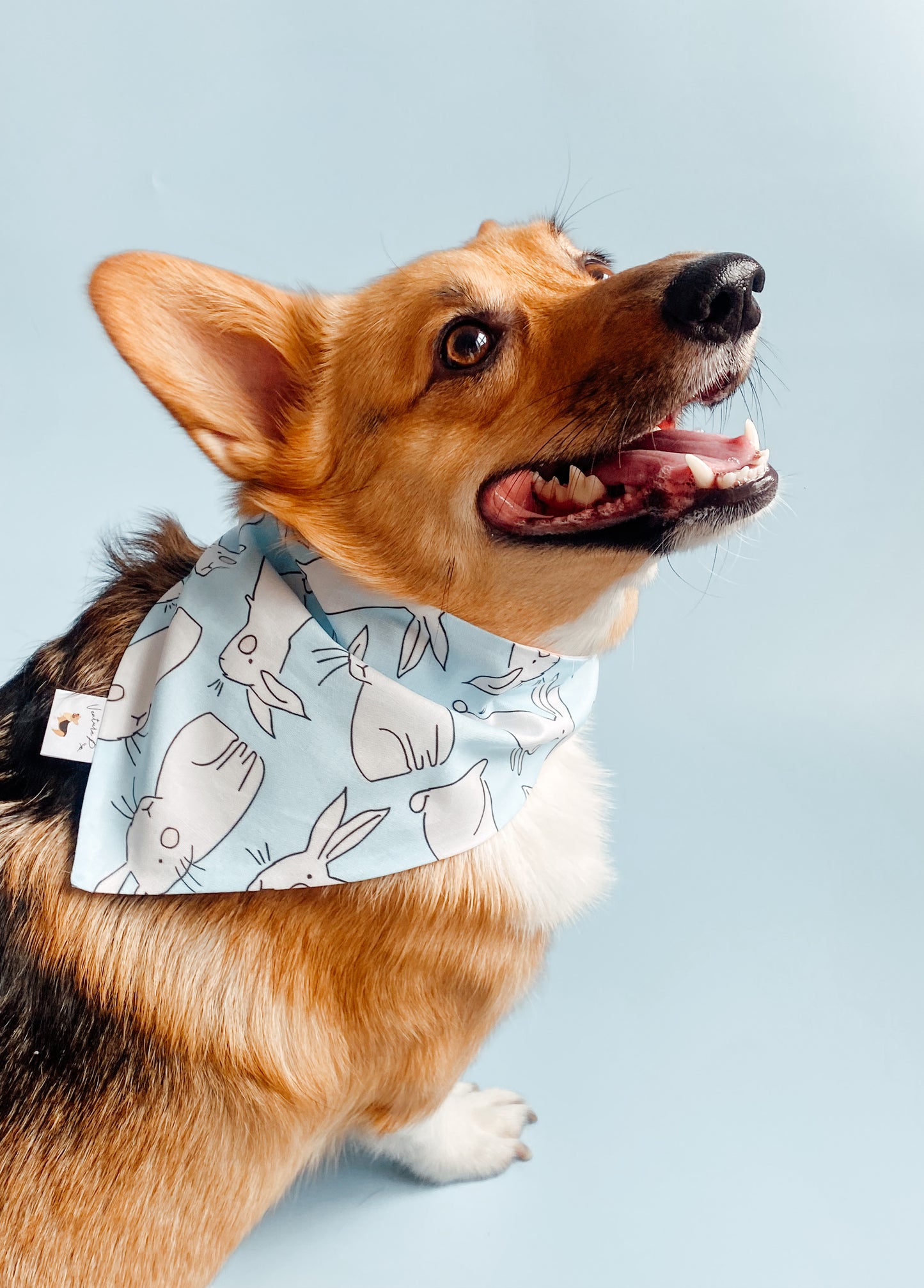 ๐ต๐๐ข๐ ๐ต๐ข๐๐๐ฆ ๐ท๐๐ ๐ต๐๐๐๐๐๐