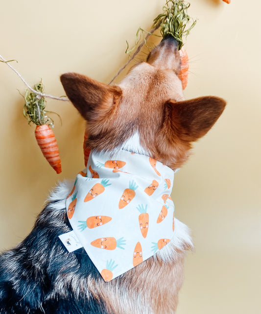 ๐ป๐๐๐๐ฆ ๐ถ๐๐๐๐๐ก๐  ๐ท๐๐ ๐ต๐๐๐๐๐๐