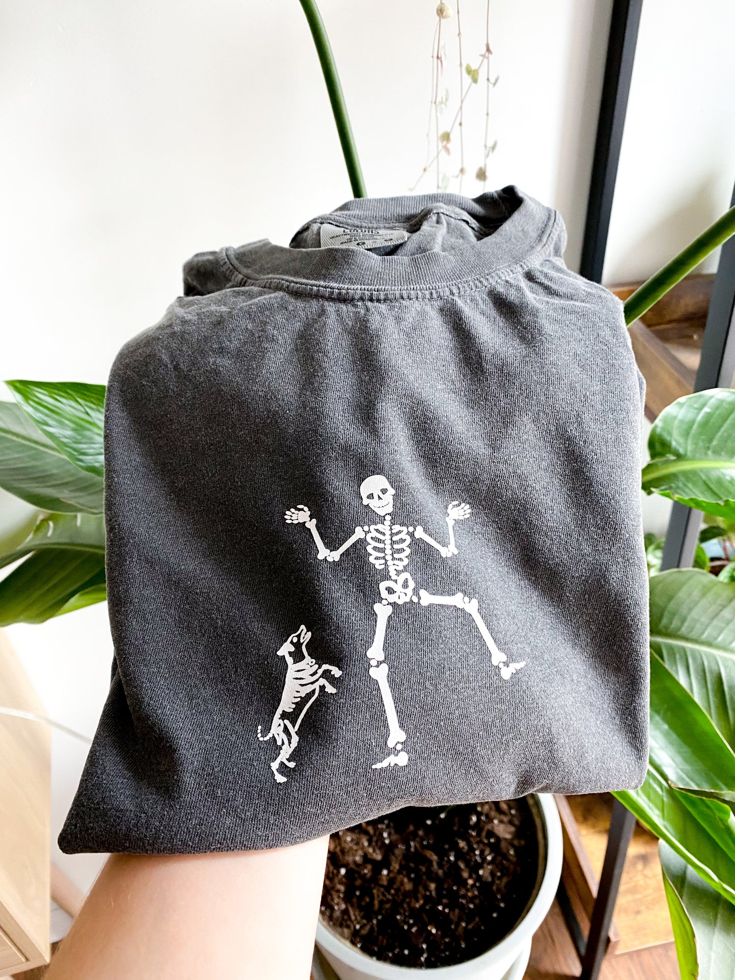 ๐ท๐๐๐๐๐๐ ๐๐๐๐๐๐ก๐๐๐  ๐๐๐