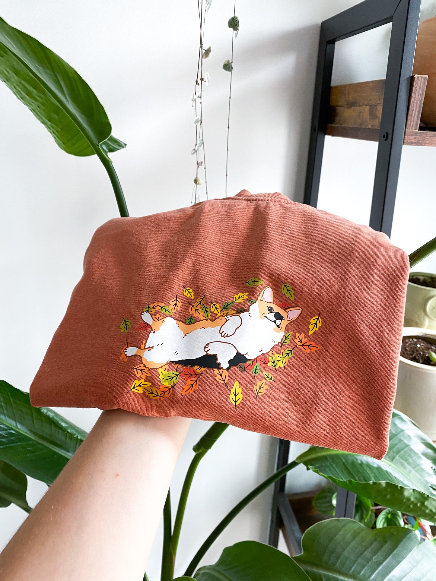 ๐ท๐๐ ๐๐๐๐ฆ๐๐๐ ๐๐ ๐ฟ๐๐๐ฃ๐๐  ๐๐๐