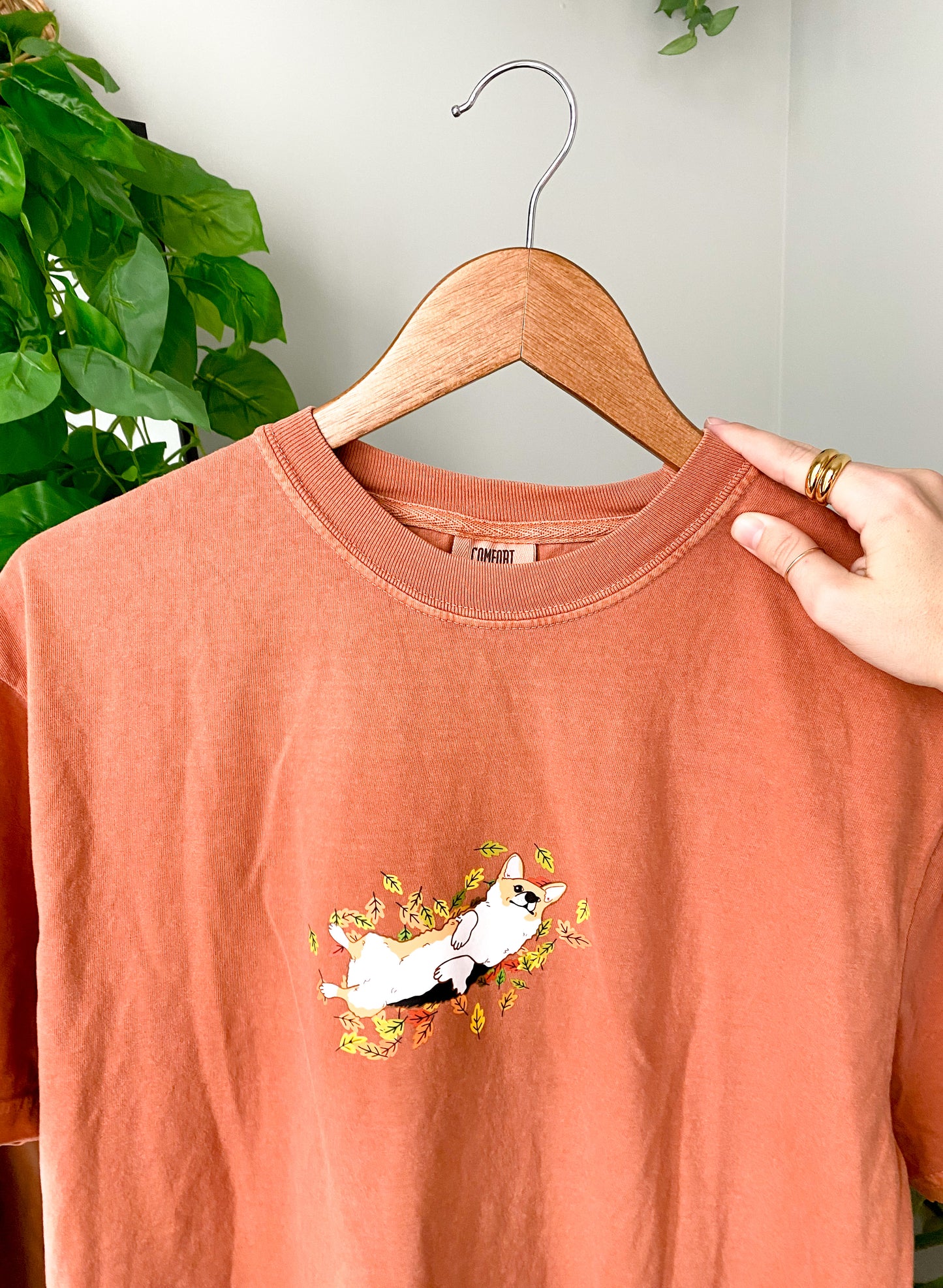 ๐ท๐๐ ๐๐๐๐ฆ๐๐๐ ๐๐ ๐ฟ๐๐๐ฃ๐๐  ๐๐๐