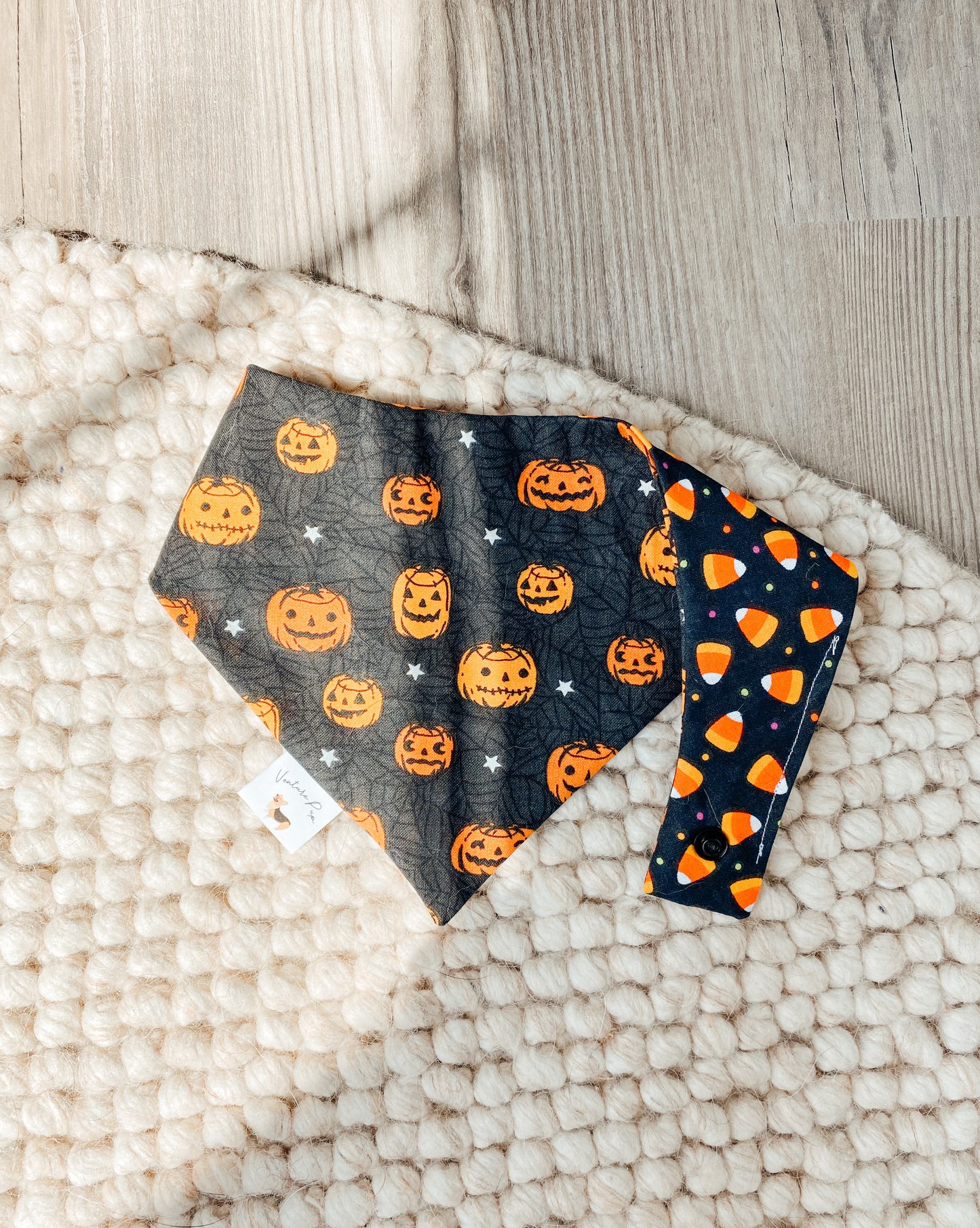 𝐻𝑎𝑝𝑝𝑦 𝑃𝑢𝑚𝑝𝑘𝑖𝑛𝑠 𝐷𝑜𝑔 𝐵𝑎𝑛𝑑𝑎𝑛𝑎