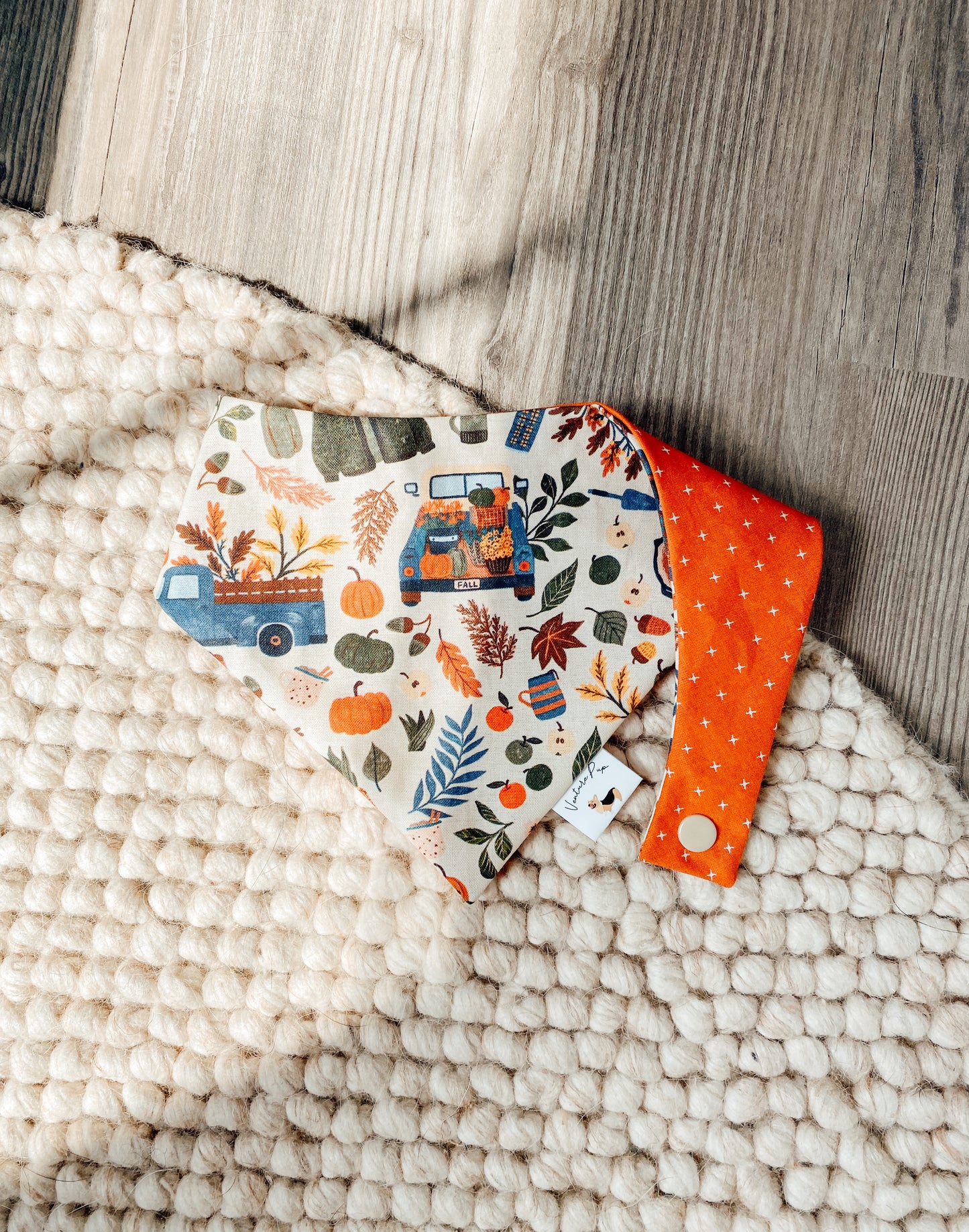 𝐴𝑙𝑙 𝑇ℎ𝑖𝑛𝑔𝑠 𝐹𝑎𝑙𝑙 𝐷𝑜𝑔 𝐵𝑎𝑛𝑑𝑎𝑛𝑎