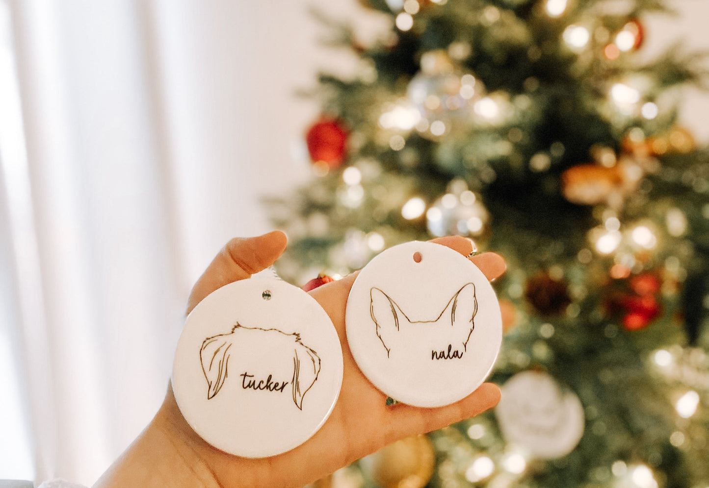 ๐ถ๐ข๐ ๐ก๐๐ ๐ท๐๐ ๐ธ๐๐ ๐๐๐๐๐๐๐๐ก