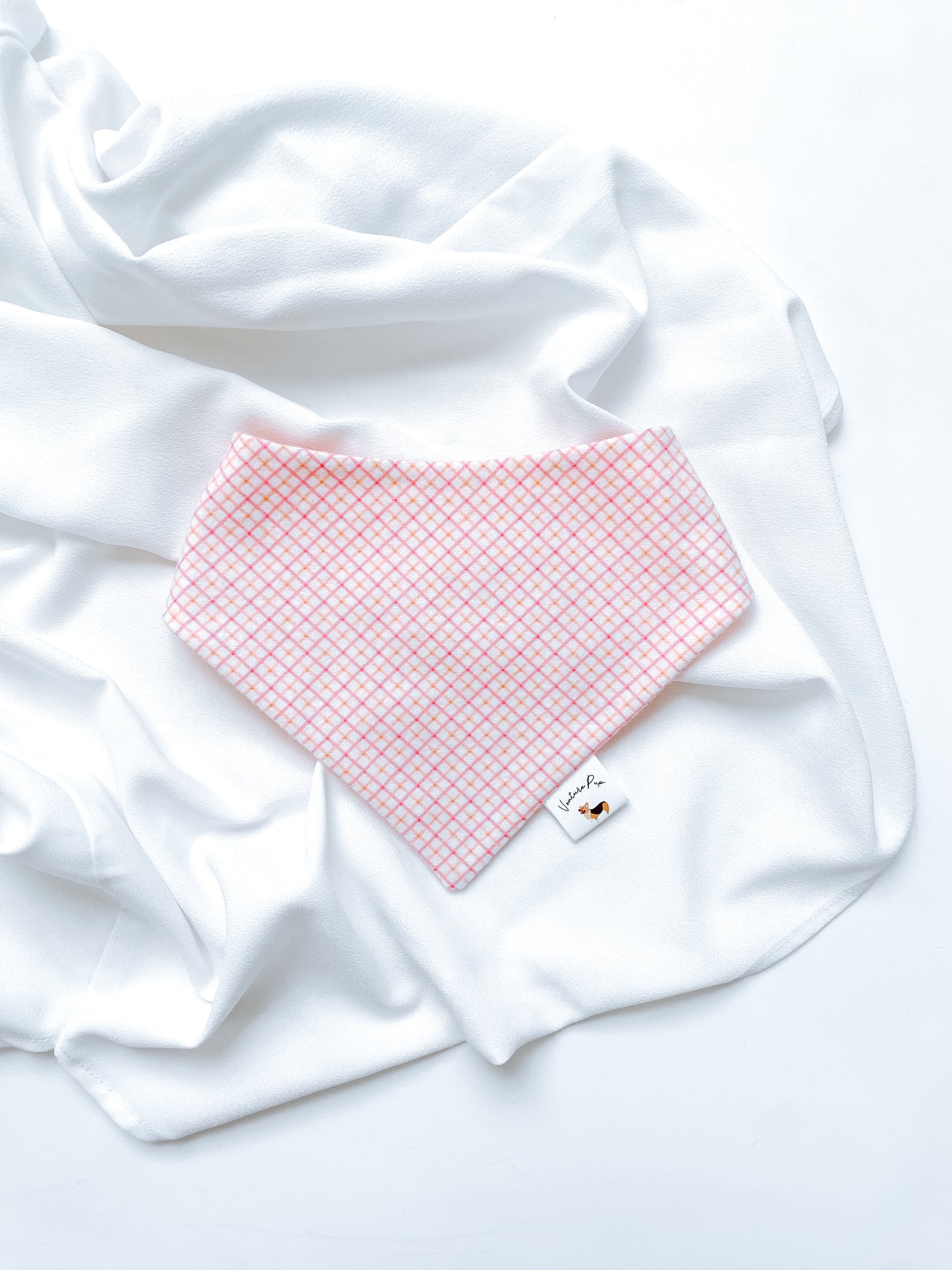 ๐๐๐๐ก ๐๐๐๐ ๐๐๐๐๐ ๐ต๐๐๐๐๐๐