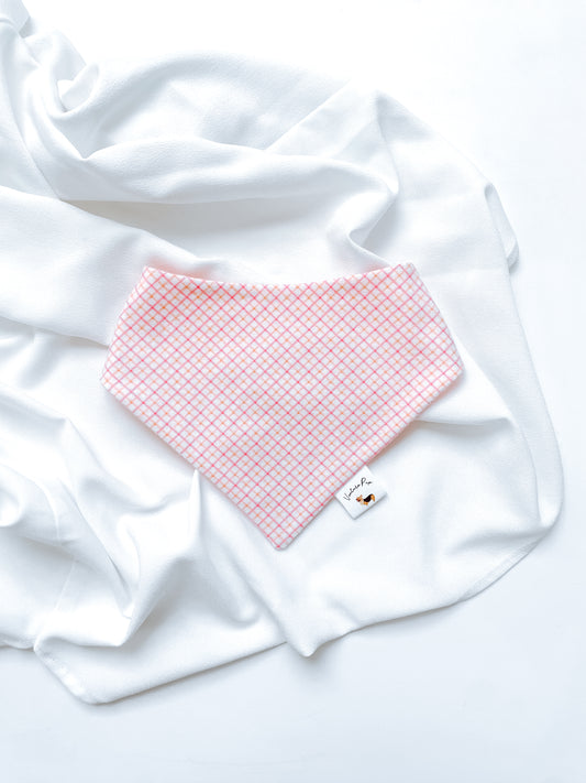 ๐๐๐๐ก ๐๐๐๐ ๐๐๐๐๐ ๐ต๐๐๐๐๐๐