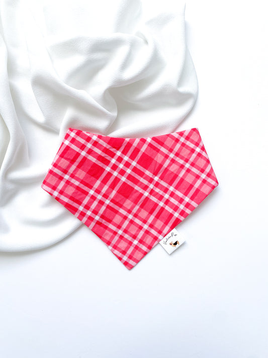 ๐ป๐๐ก ๐๐๐๐ ๐๐๐๐๐ ๐ต๐๐๐๐๐๐