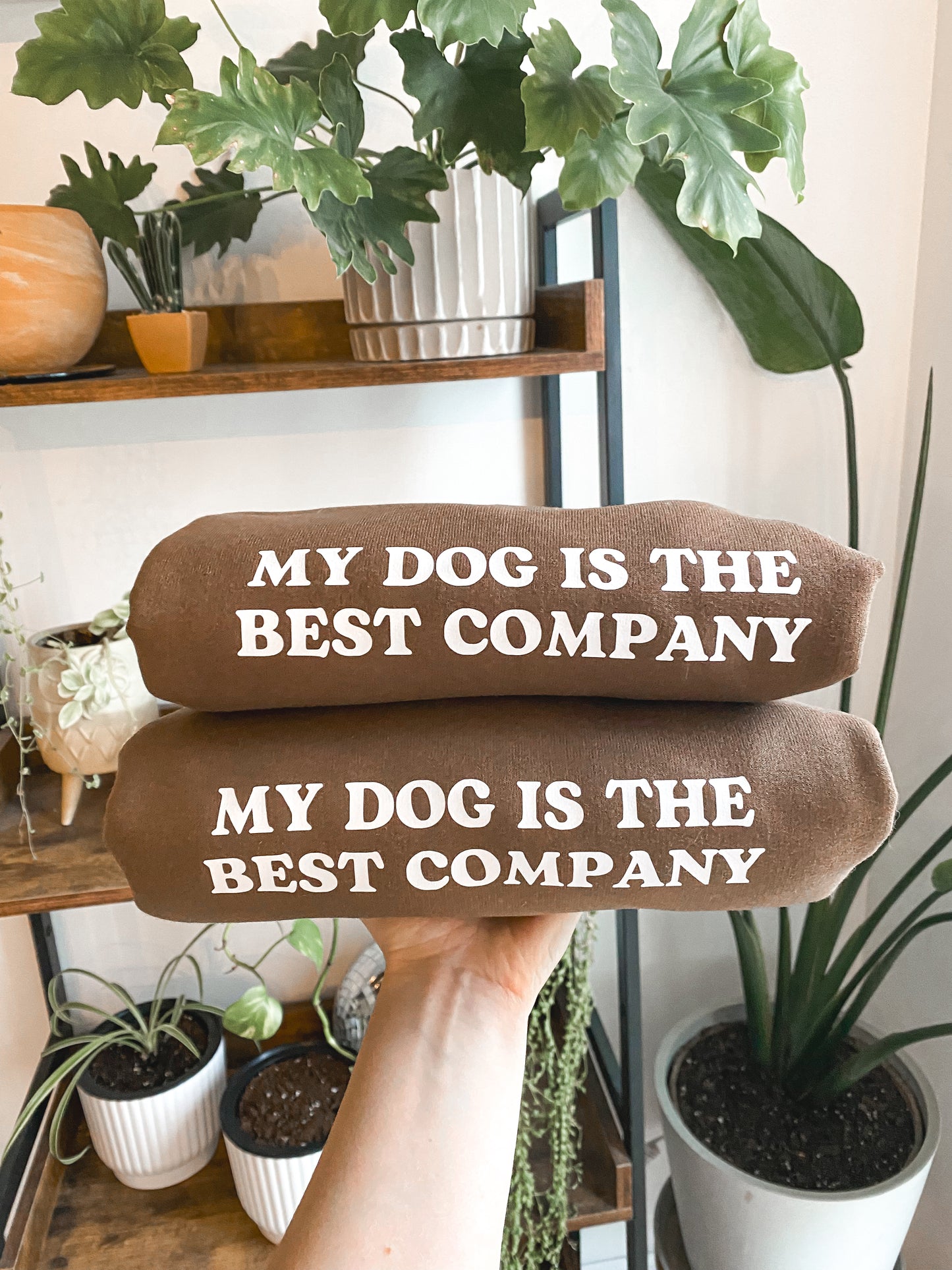 ๐๐ฆ ๐ท๐๐ ๐๐  ๐กโ๐ ๐ต๐๐ ๐ก ๐ถ๐๐๐๐๐๐ฆ ๐ถ๐๐๐ค