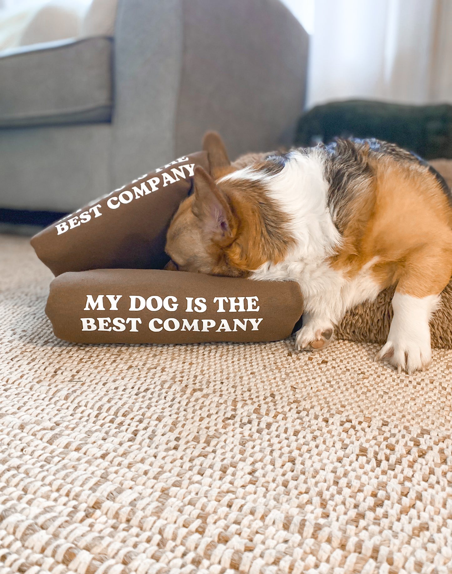 ๐๐ฆ ๐ท๐๐ ๐๐  ๐กโ๐ ๐ต๐๐ ๐ก ๐ถ๐๐๐๐๐๐ฆ ๐ถ๐๐๐ค