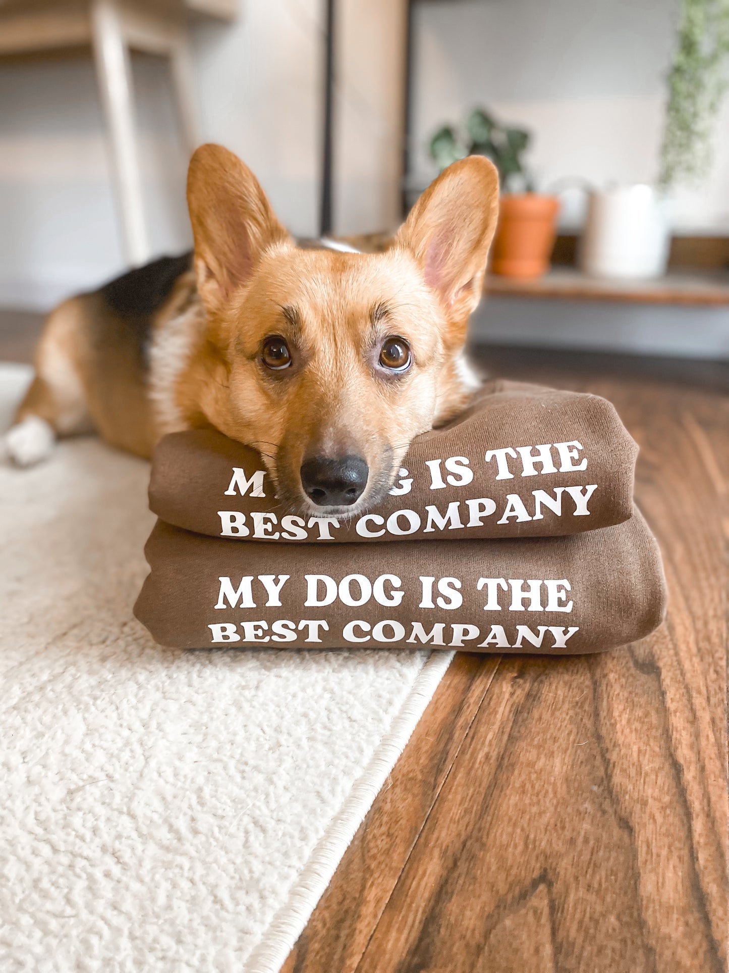 ๐๐ฆ ๐ท๐๐ ๐๐  ๐กโ๐ ๐ต๐๐ ๐ก ๐ถ๐๐๐๐๐๐ฆ ๐ถ๐๐๐ค