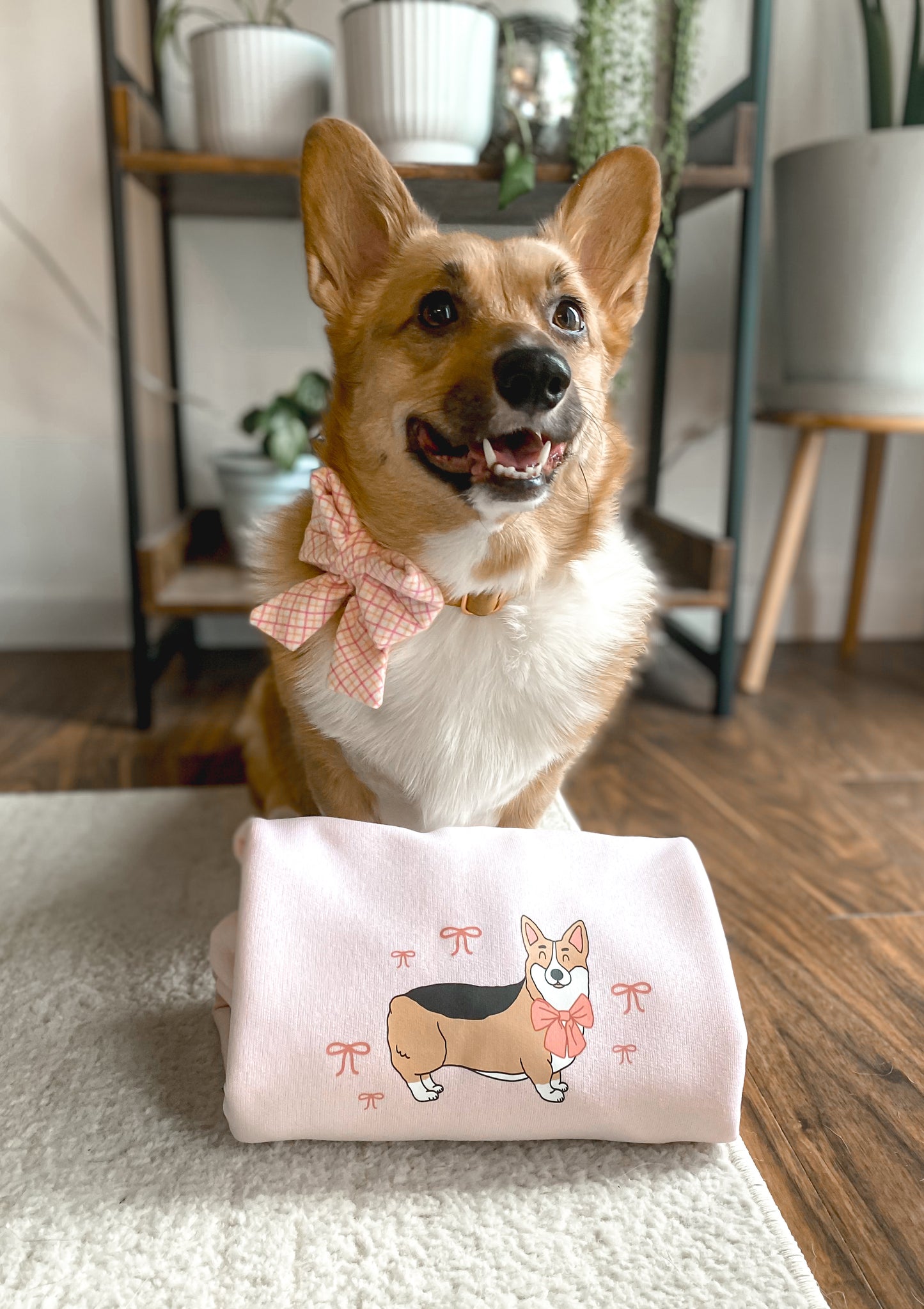 𝐶𝑜𝑟𝑔𝑖 𝐵𝑜𝑤𝑠 𝐶𝑟𝑒𝑤