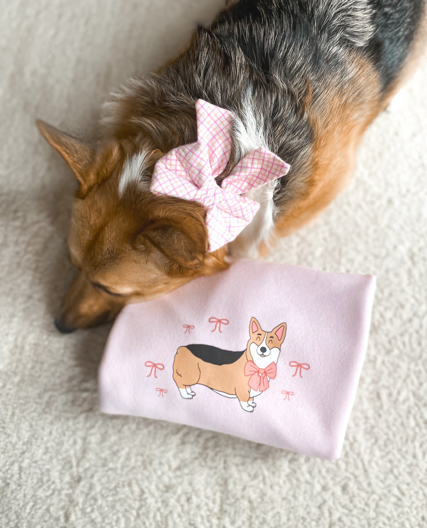 𝐶𝑜𝑟𝑔𝑖 𝐵𝑜𝑤𝑠 𝐶𝑟𝑒𝑤