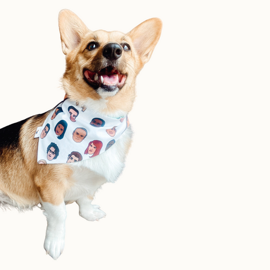 𝑂𝑓𝑓𝑖𝑐𝑒 𝐹𝑎𝑛 𝐶𝑙𝑢𝑏 𝐷𝑜𝑔 𝐵𝑎𝑛𝑑𝑎𝑛𝑎